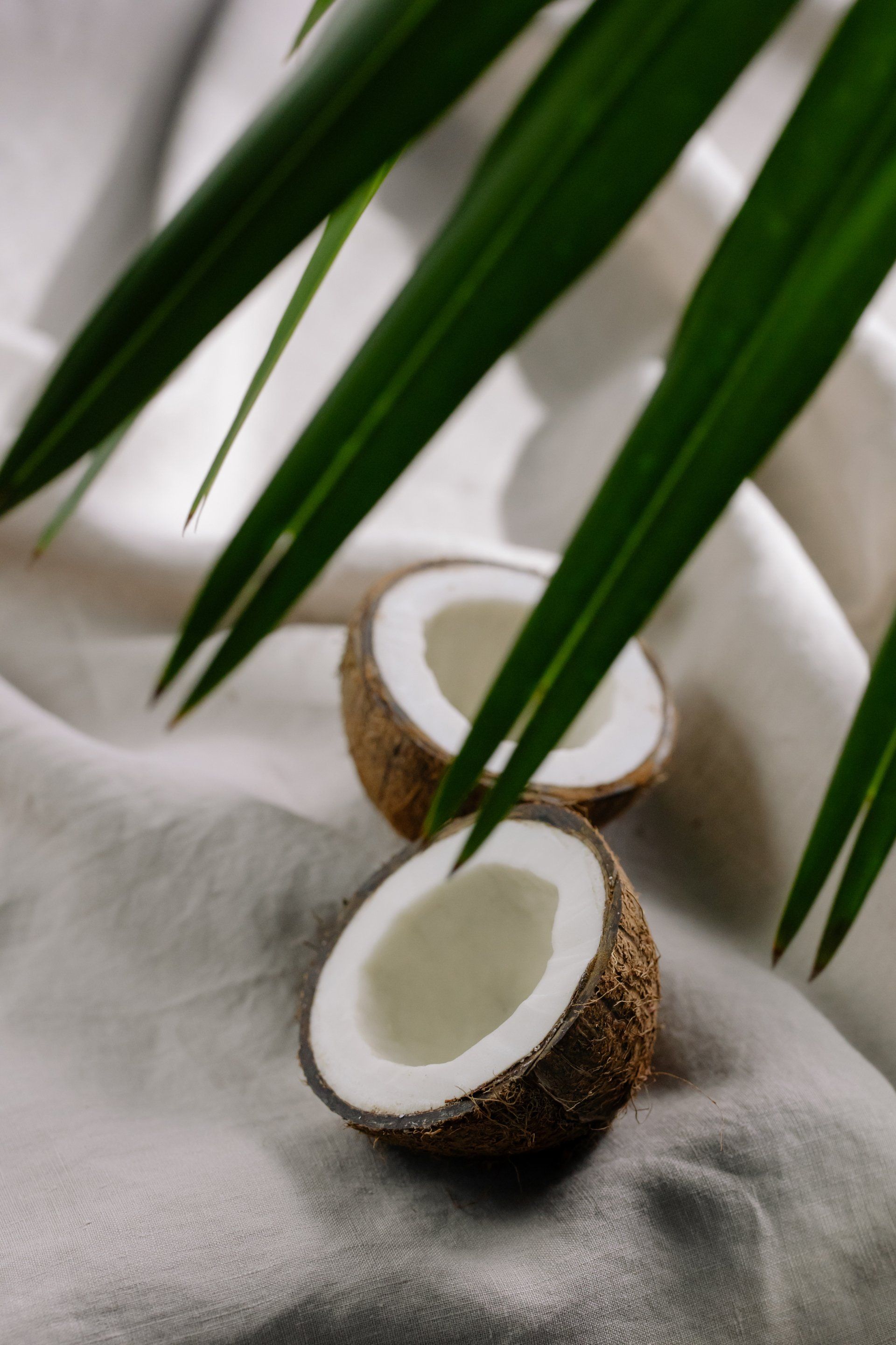 Summer fragrances coconut