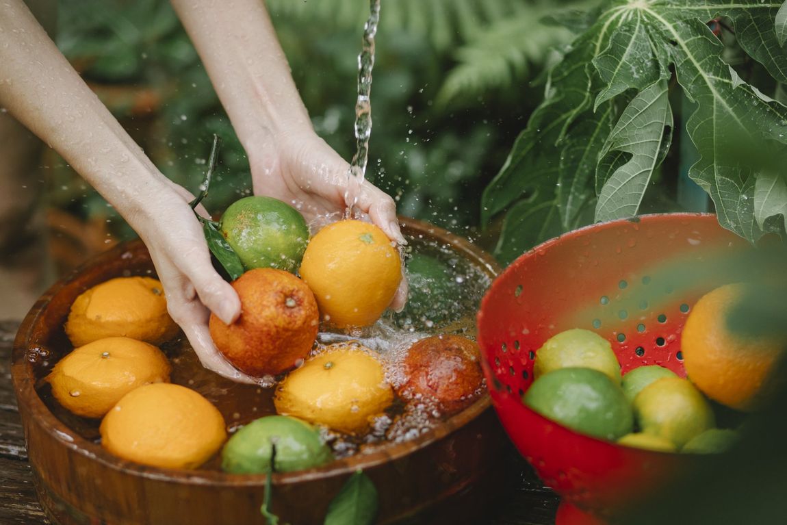 Edible Gardening