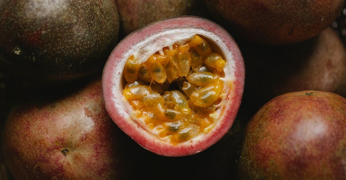 Bring Back Eden is a food forest installation company out of Florida that grows tropical fruits like passionfruit.