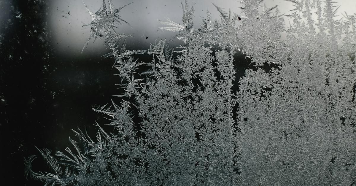 a close up of a window with frost on it .