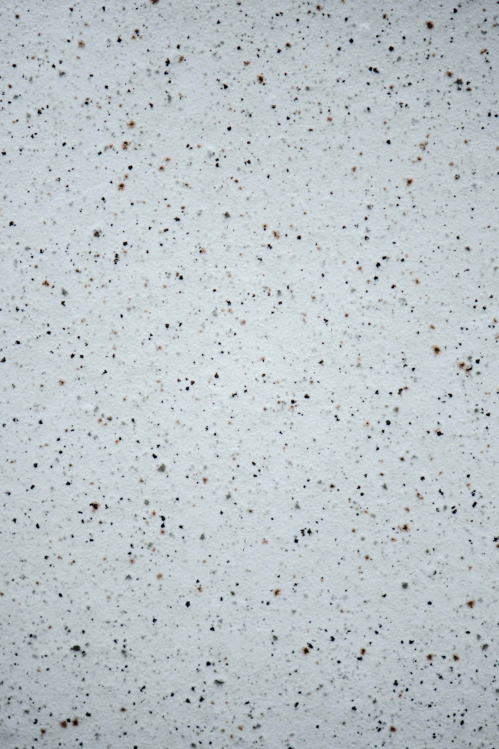 Carpet Cleaning Services Near West Kelowna