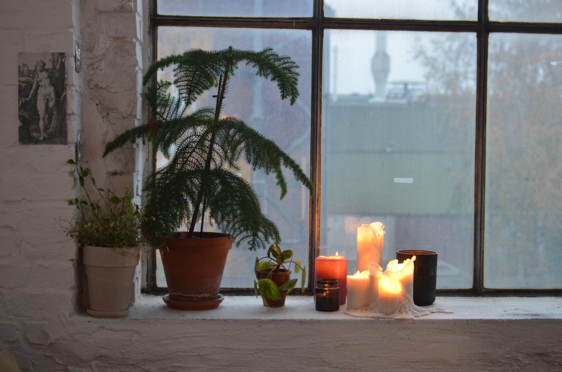 A window sill with potted plants and candles on it.