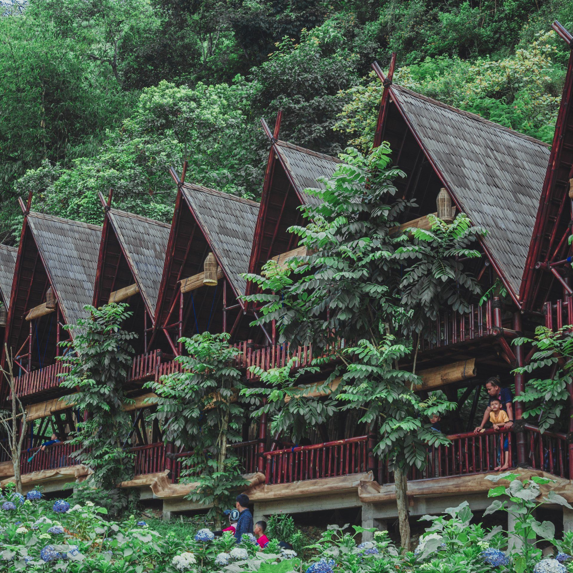 5 star Monteverde Luxury Resort