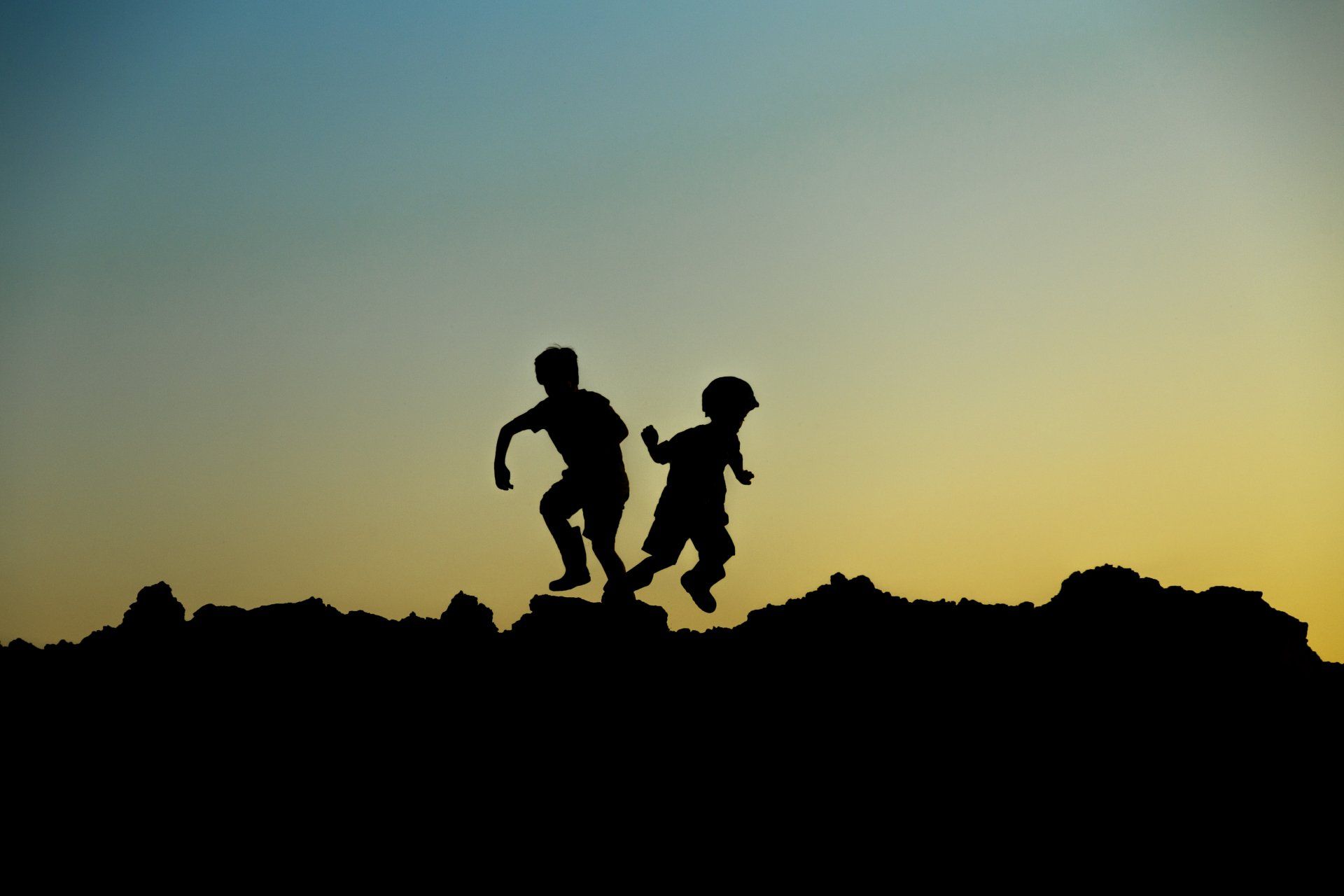 Kinderkurs in der Natur mit einem Biologen.