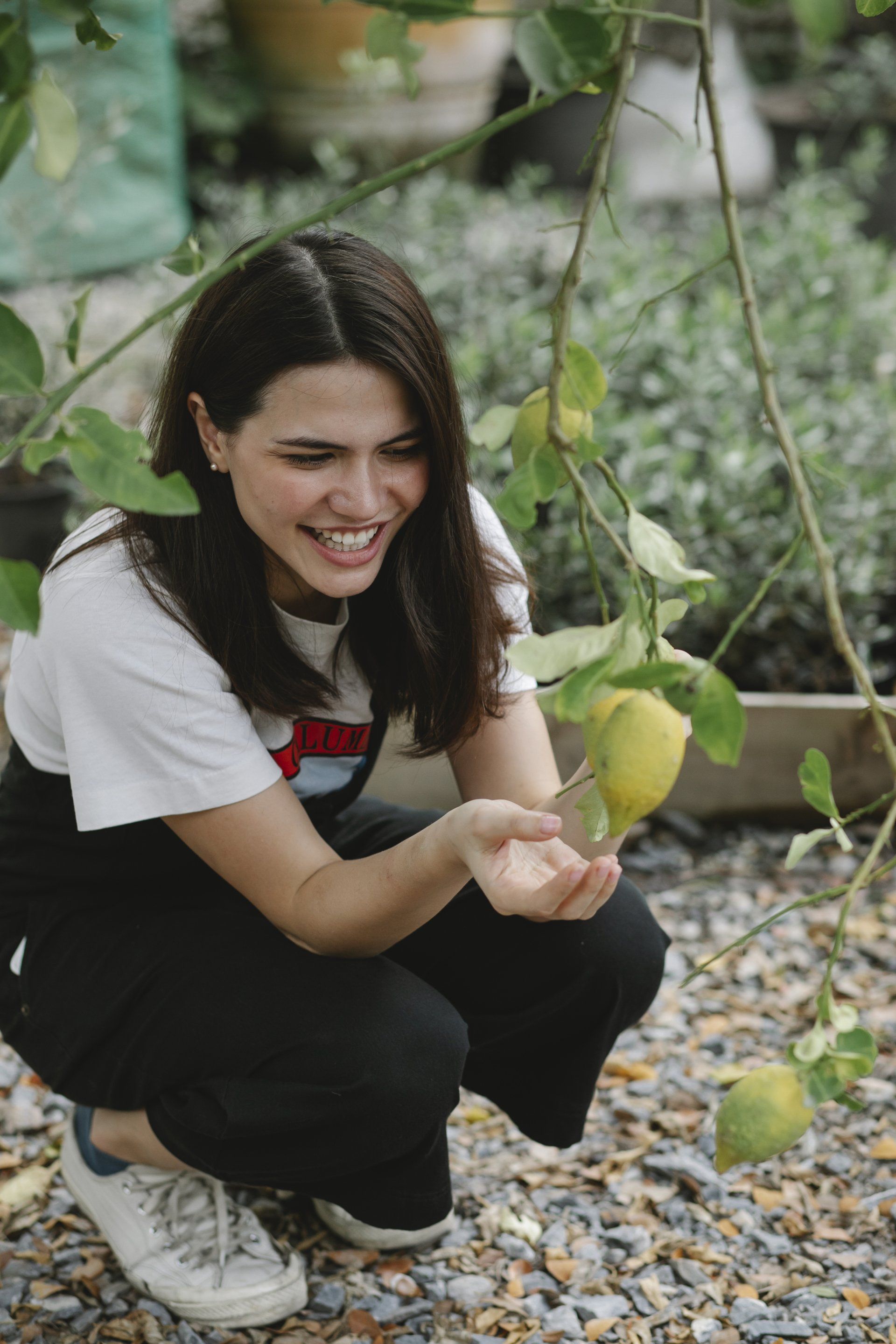 A Woman is Kneeling Down to Pick a Lemon — Newcastle Paediatric Occupational Therapy In Floraville, NSW