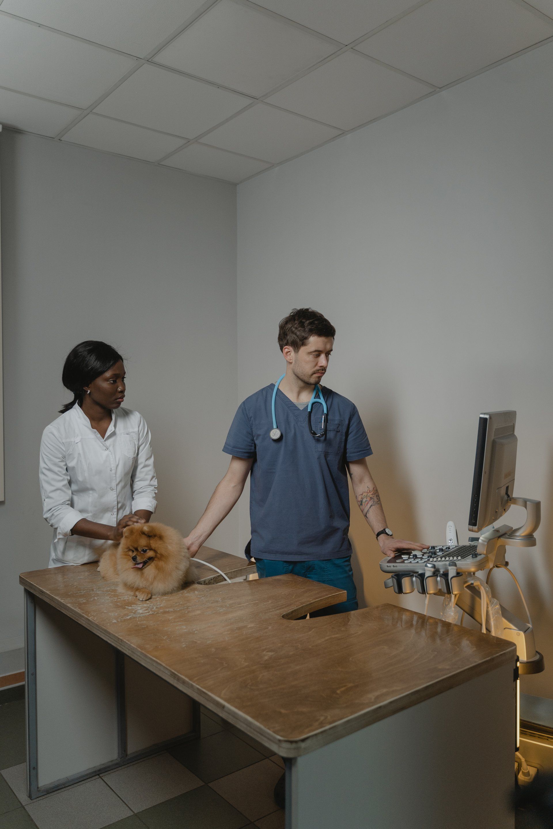 A man and a woman are standing next to a table with a dog on it.