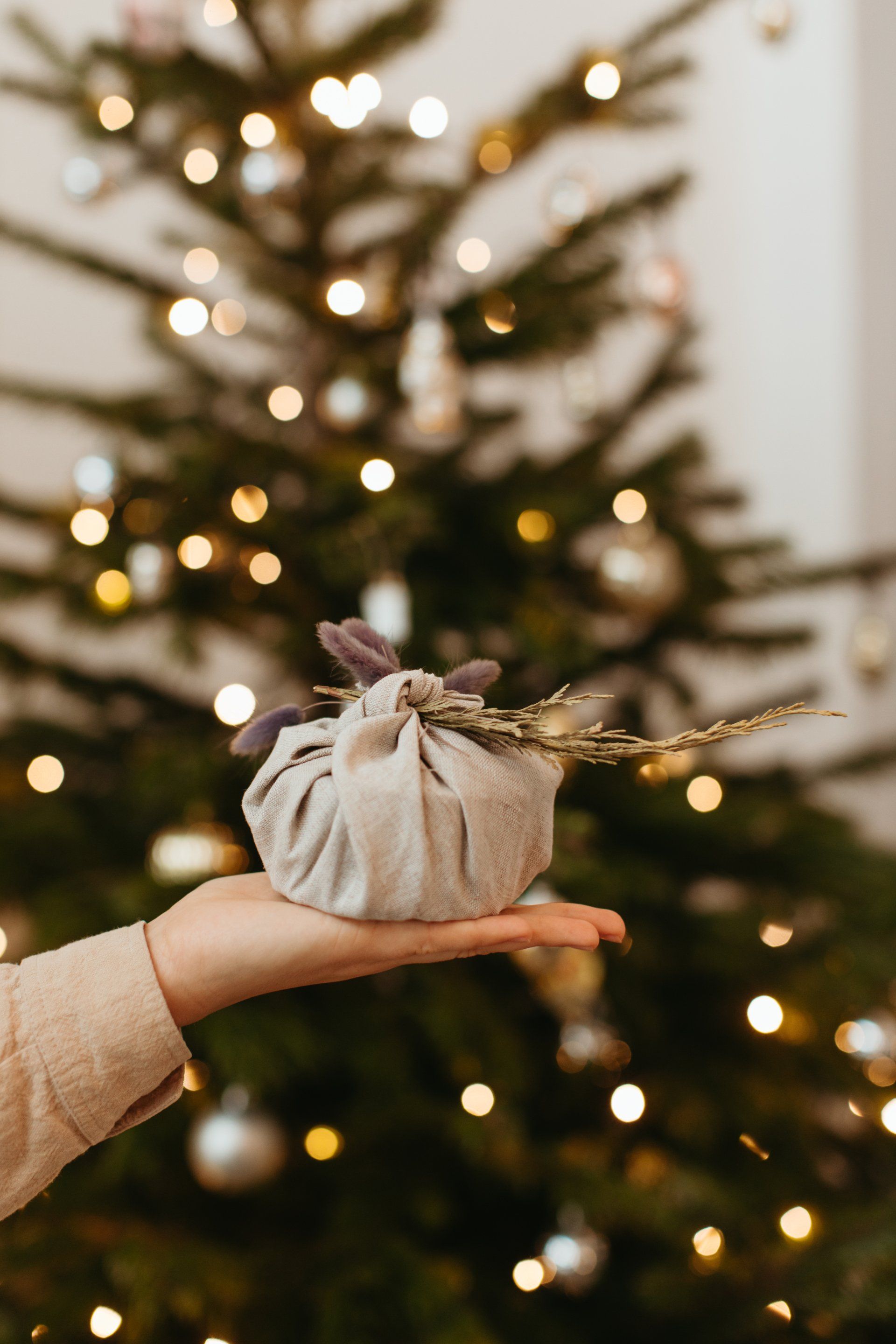 a person is holding a wrapped gift in front of a christmas tree .