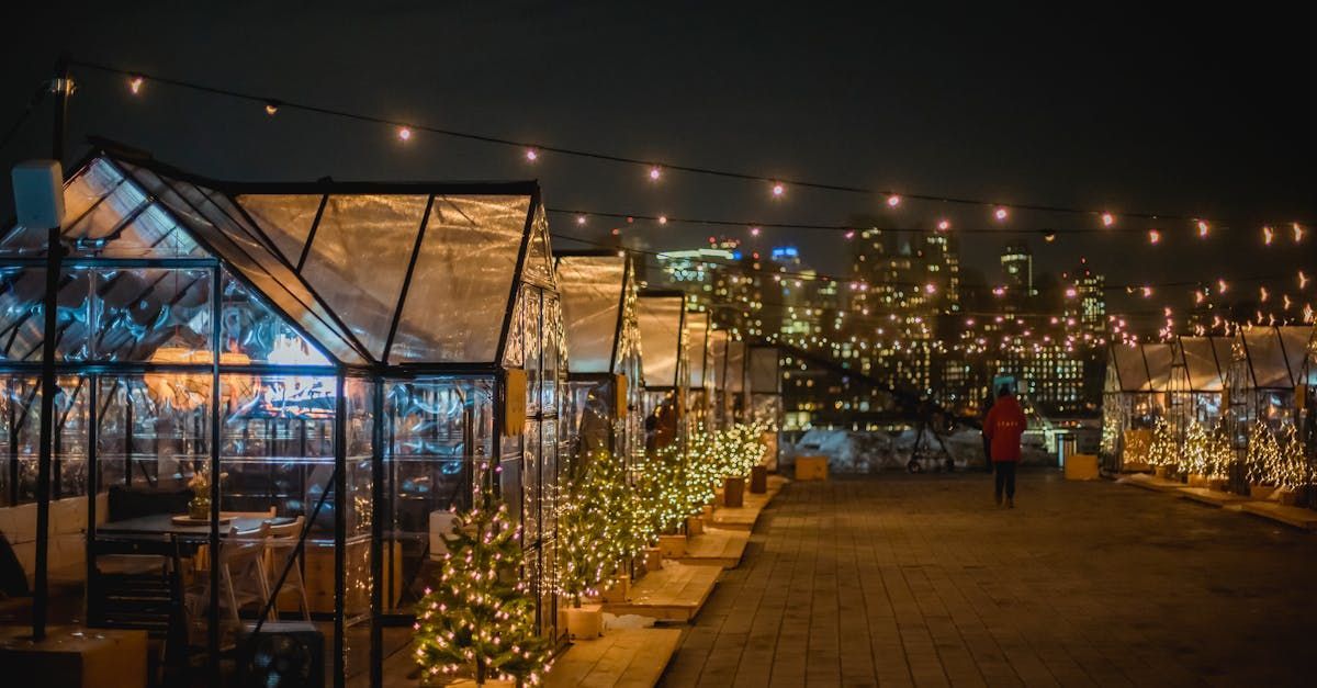Seattle waterfront dining with illuminated greenhouses, string lights, and small Christmas trees at night.
