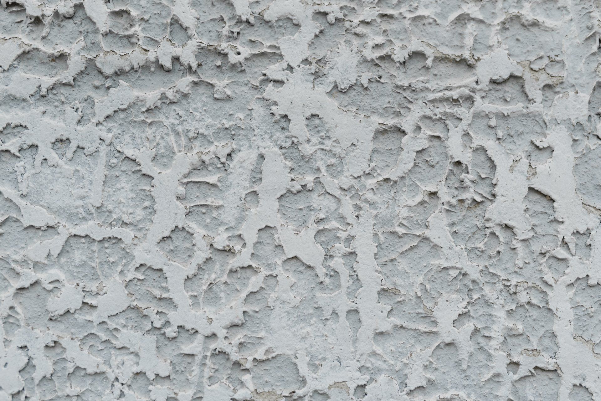 Gray Stucco wall texture.
