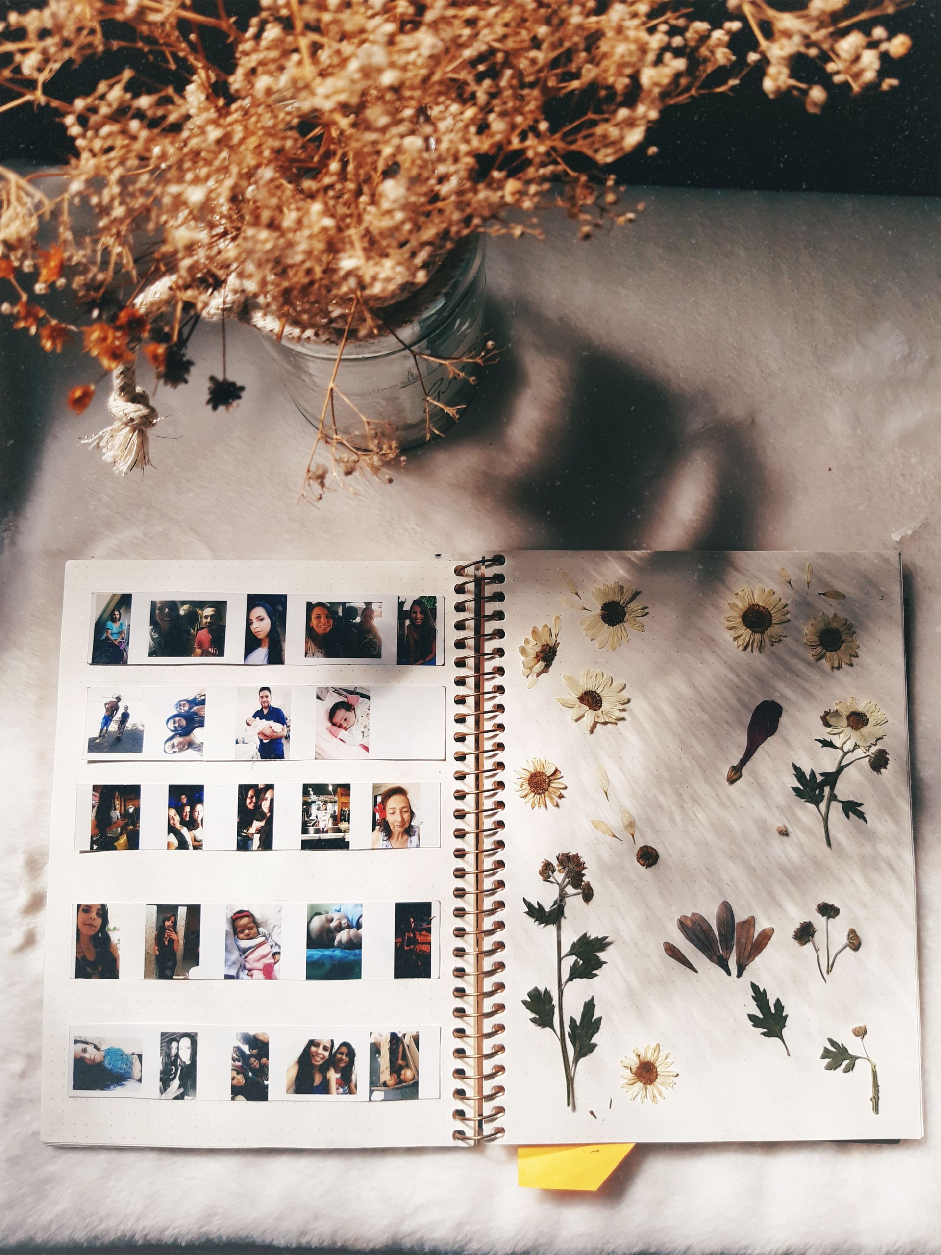 un carnet avec des photos et des fleurs est ouvert à côté d' un vase de fleurs séchées