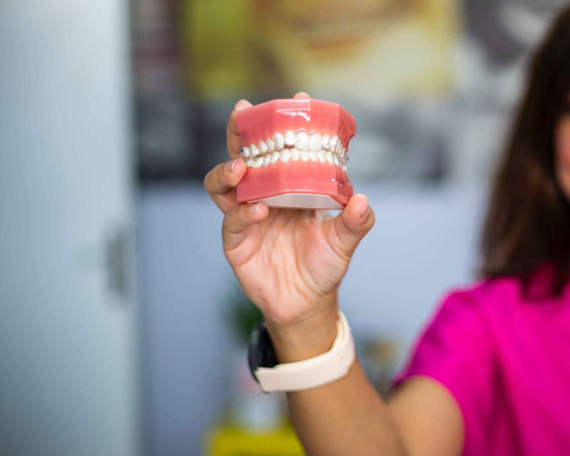 A woman is holding a model of teeth in her hand.