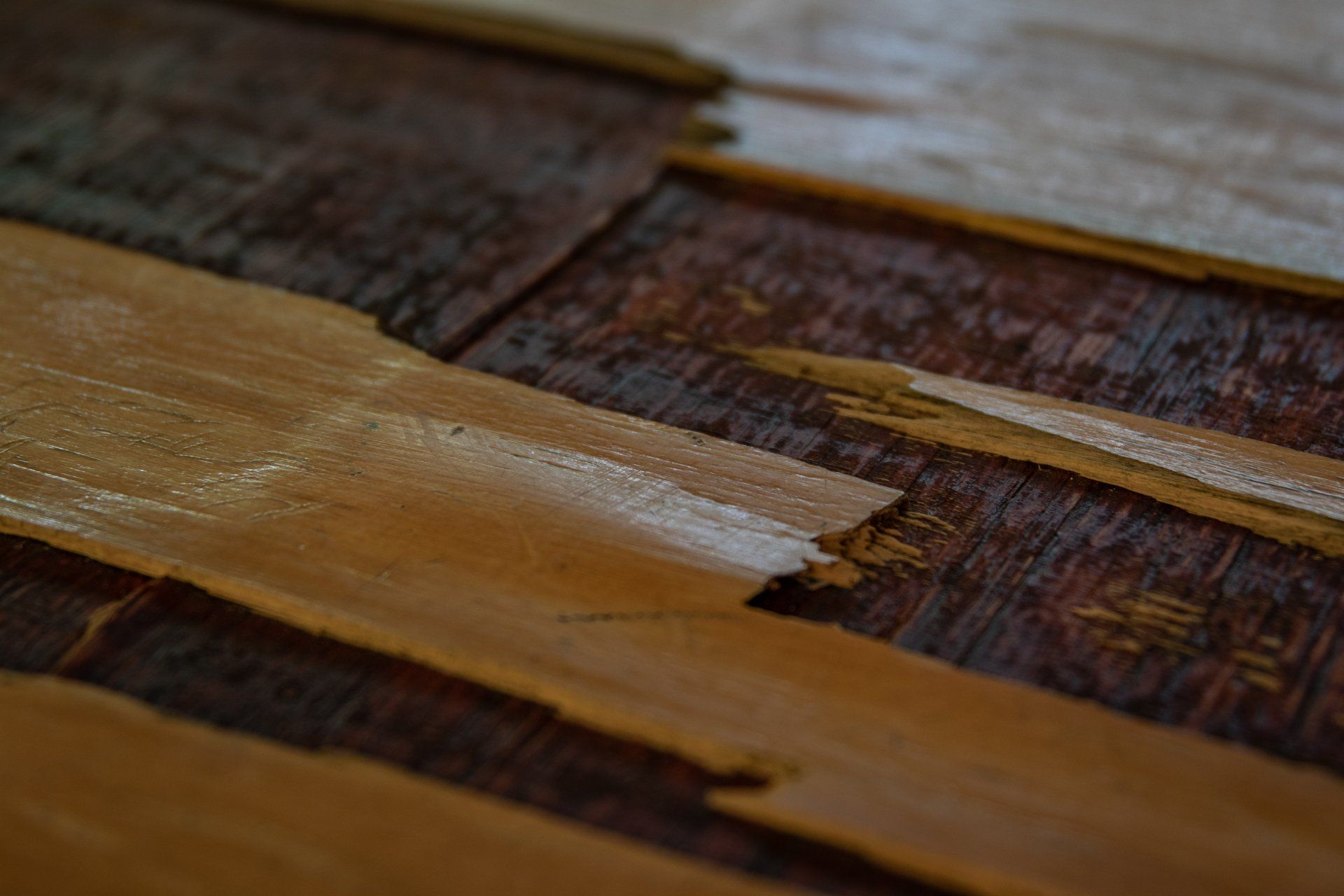 cracked wood flooring