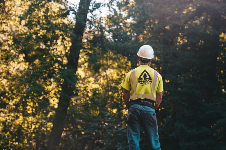 A man wearing a hard hat and a yellow shirt is standing in the woods.