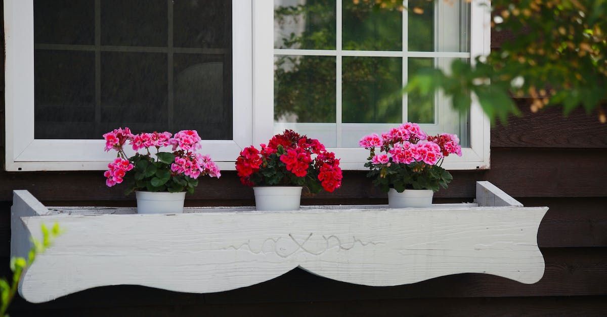 Flower boxes