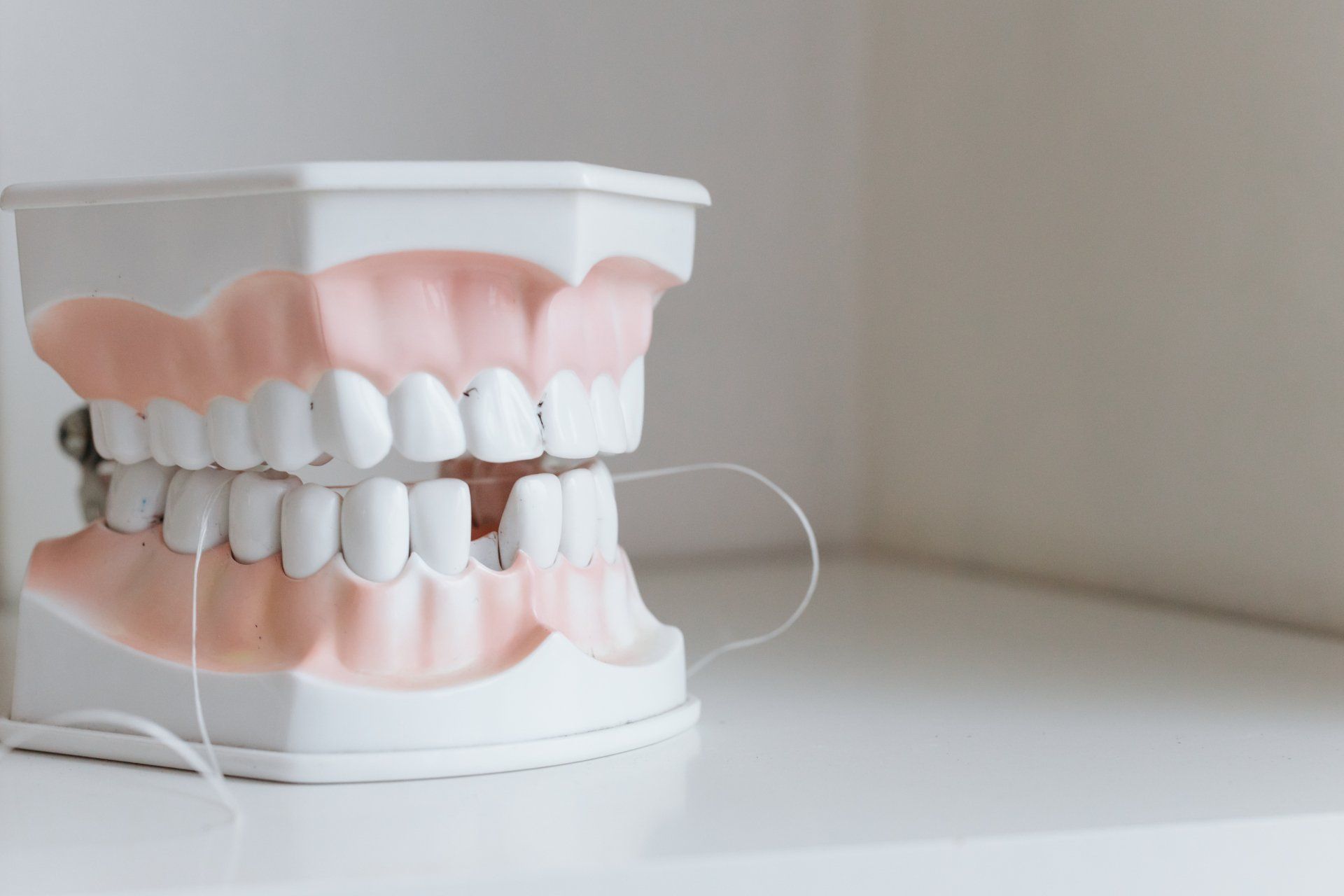close up dental model of dentures with floss