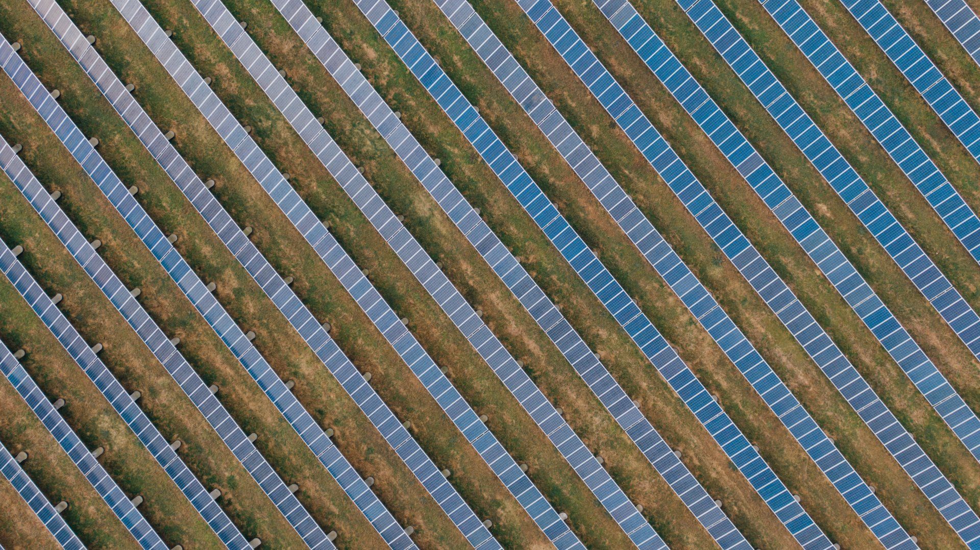 An aerial view of rows of solar panels in a field