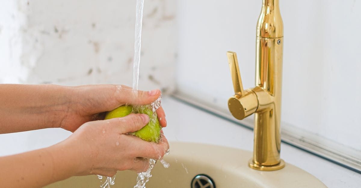 person washing hands with sponge in sink