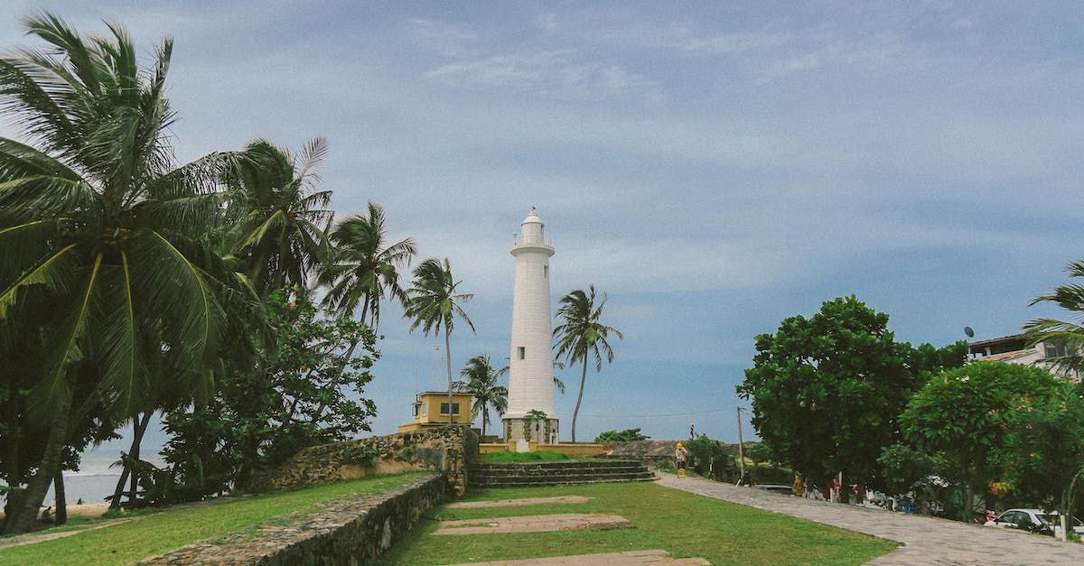 A white lighthouse is surrounded by palm trees and grass.