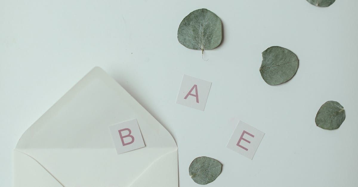 Geöffneter weißer Umschlag auf einer weißen Oberfläche, daneben getrocknete Blätter und die Buchstaben B, A und E.