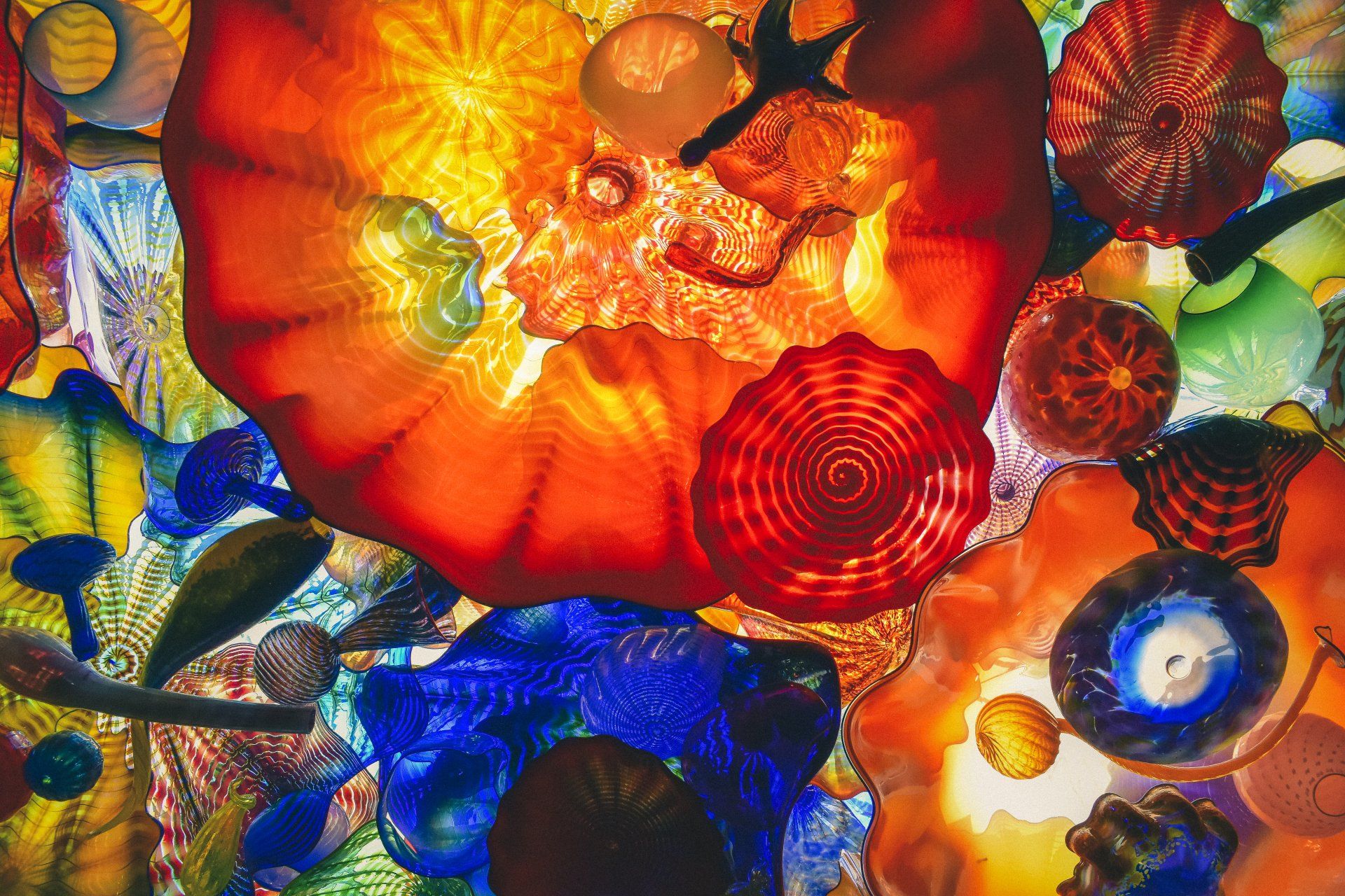 קורסי תרפיית אור צליל וצבע - דר' שולמית רונן