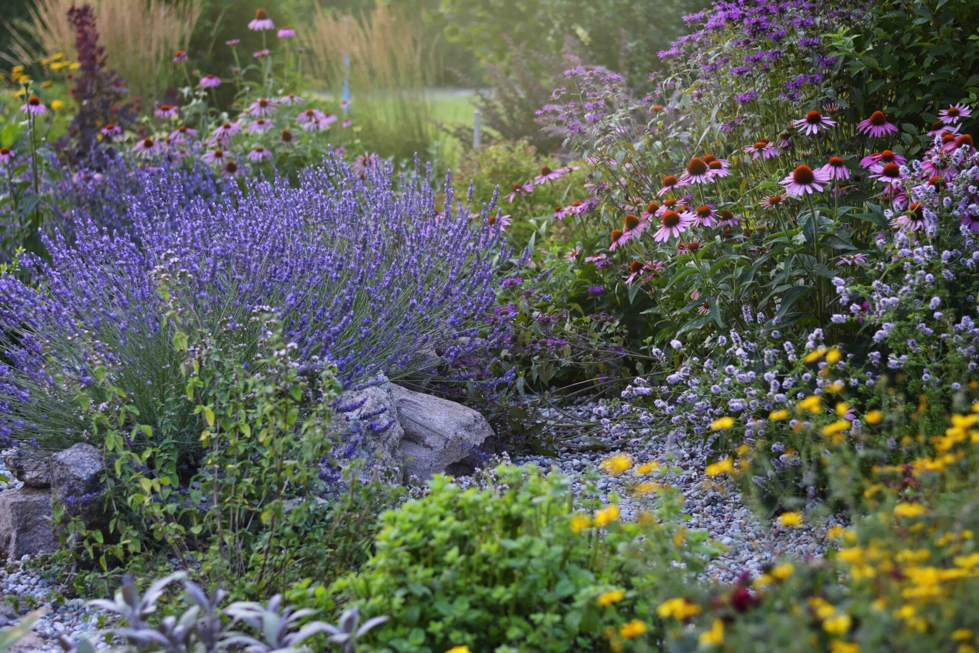 flower bed preparation along a walkway