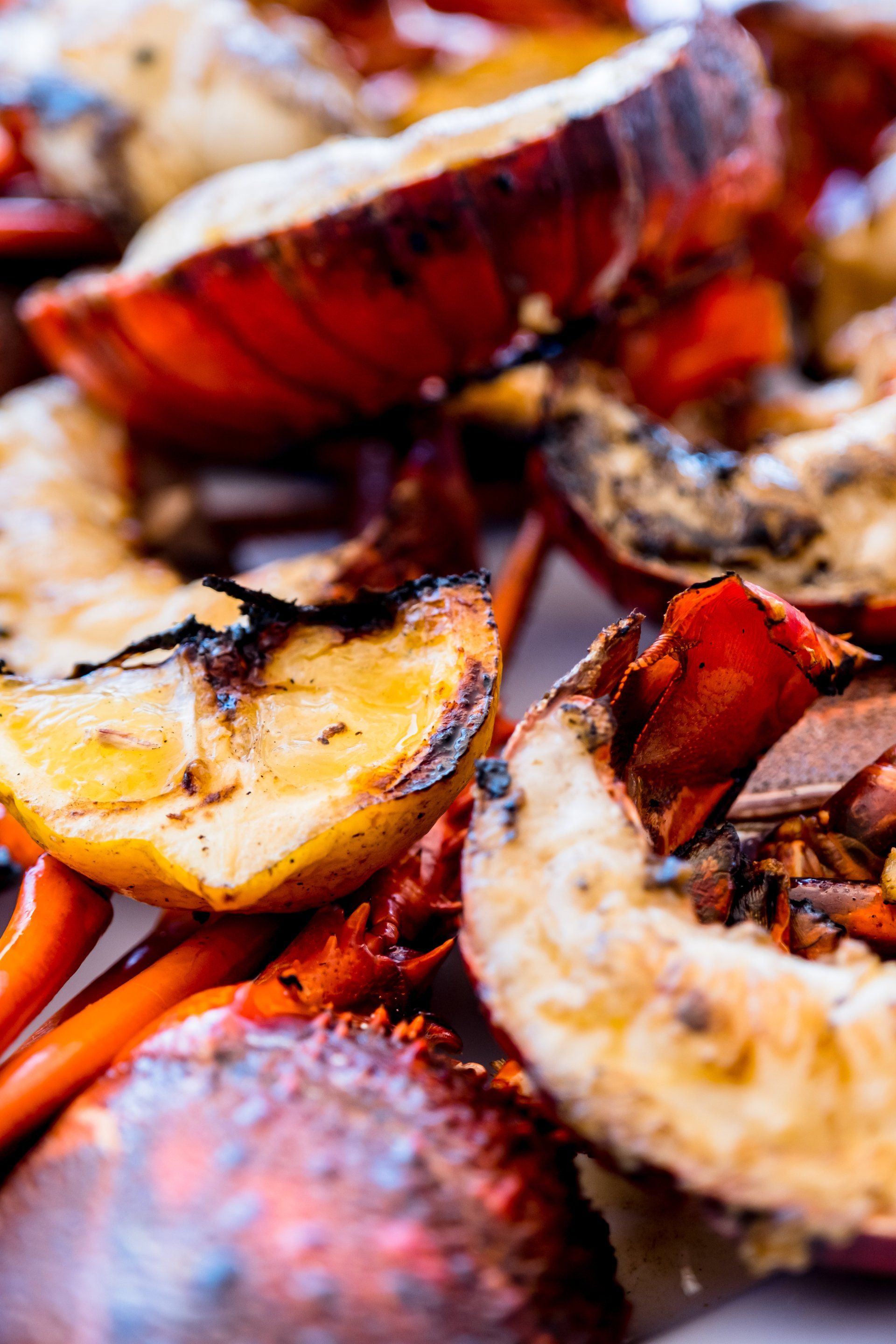 A close up of a plate of food with lobsters and potatoes on a table.