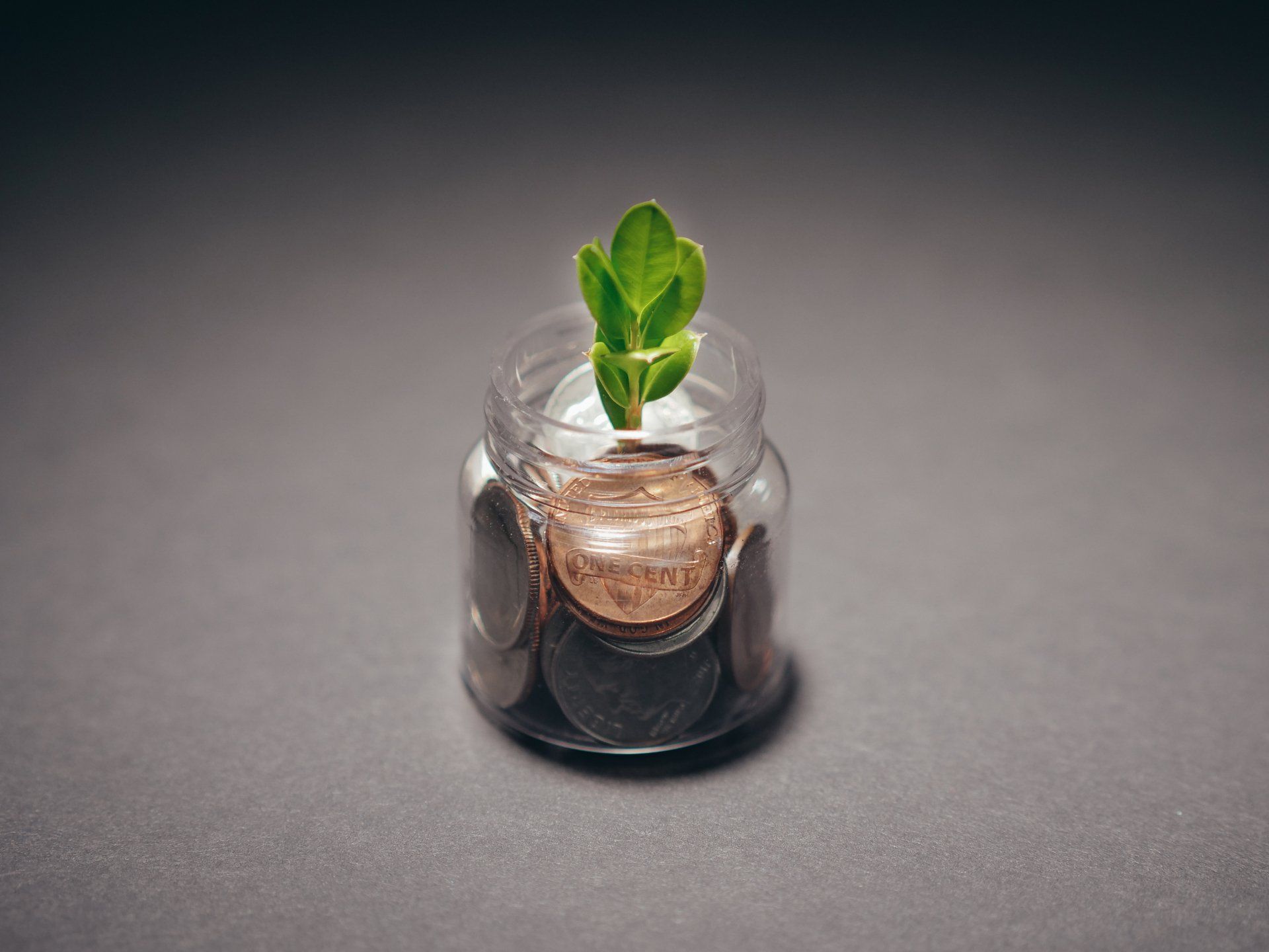 Small glass jar filled with coins and with a small plant growing out the top of the jar