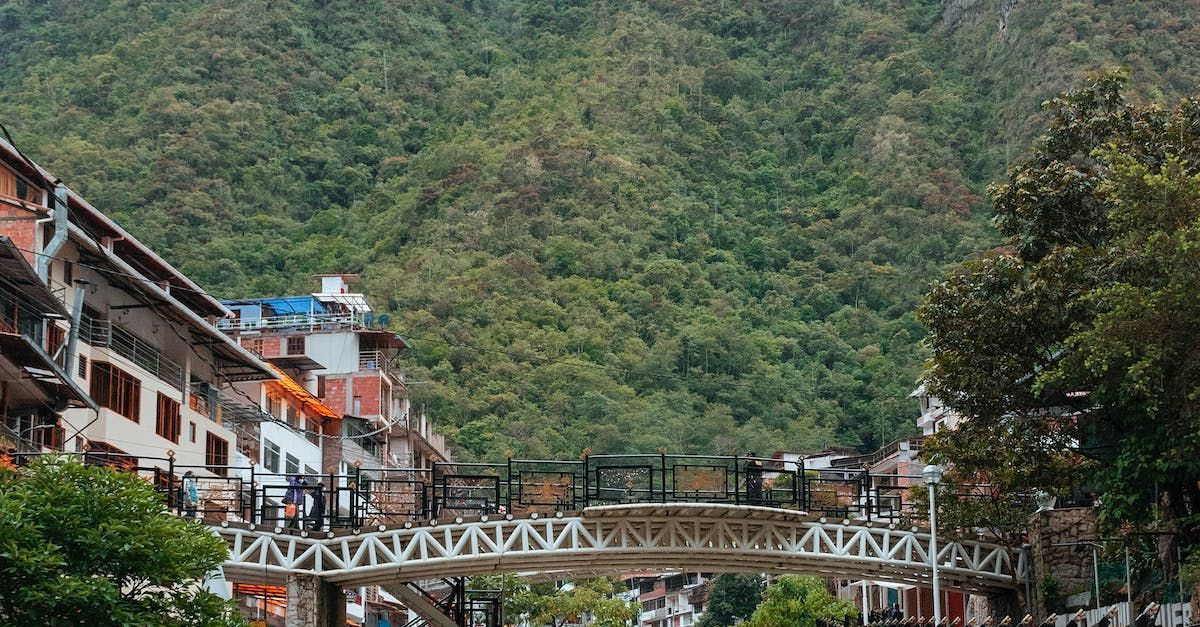 Un puente sobre un río rodeado de árboles y edificios.