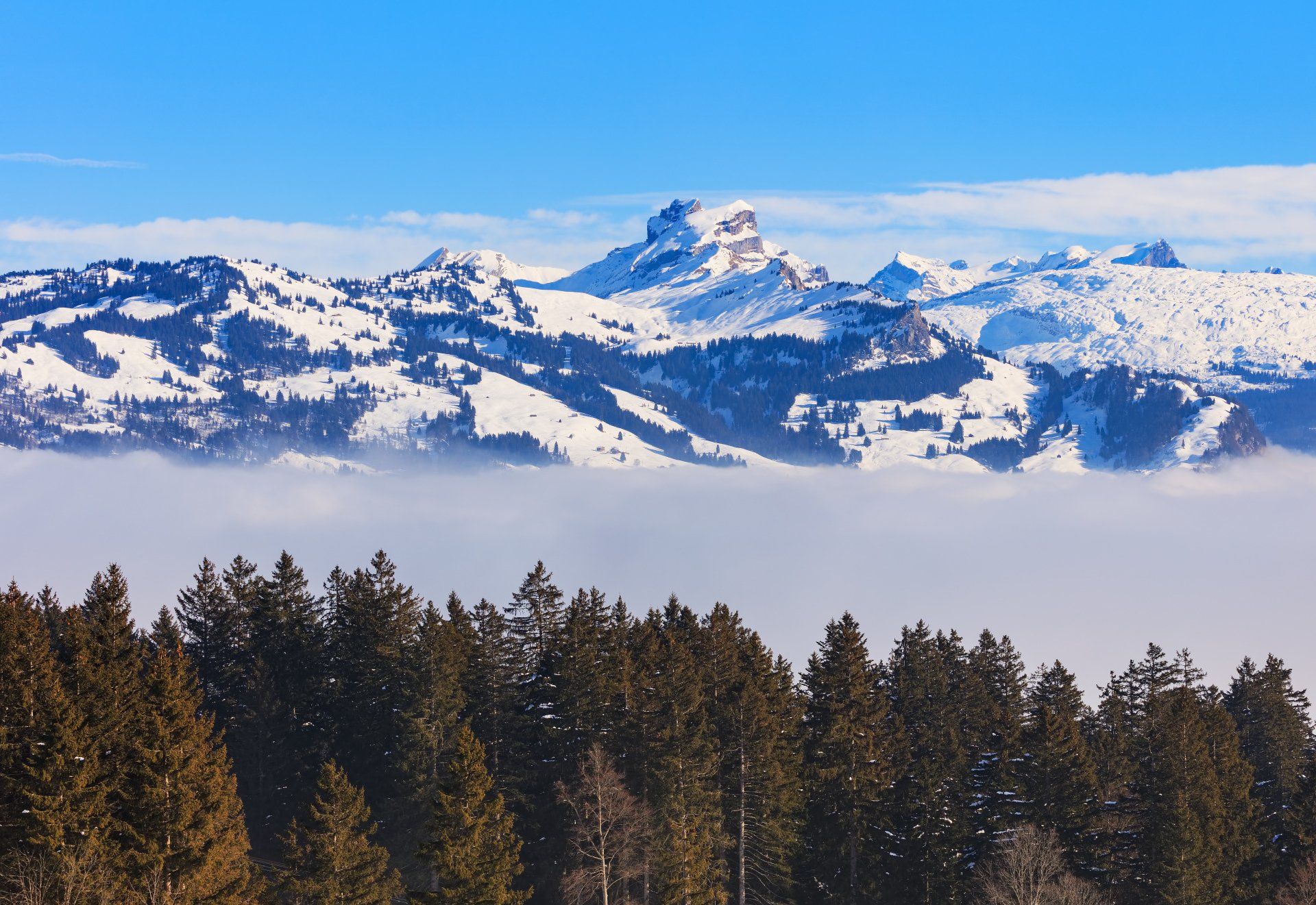 A snowy mountain range with trees in the foreground
