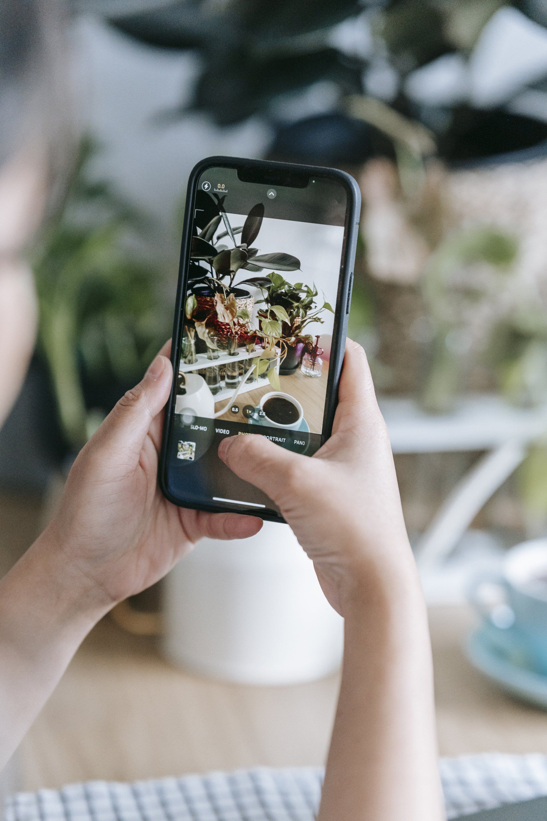 a person is taking a picture of a salad with a cell phone .
