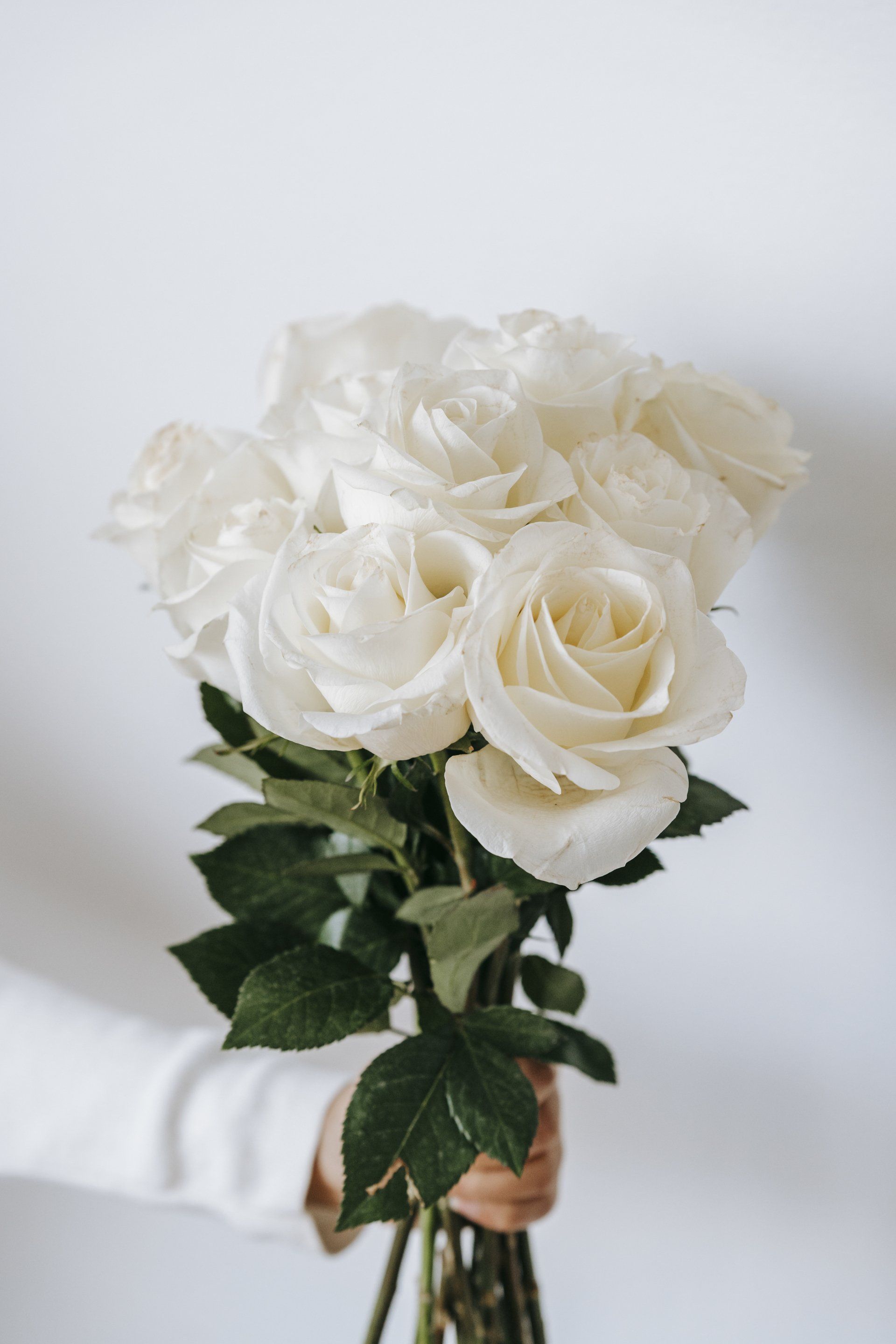Brennan Mathena Funeral Home Obituaries - efiu06l
