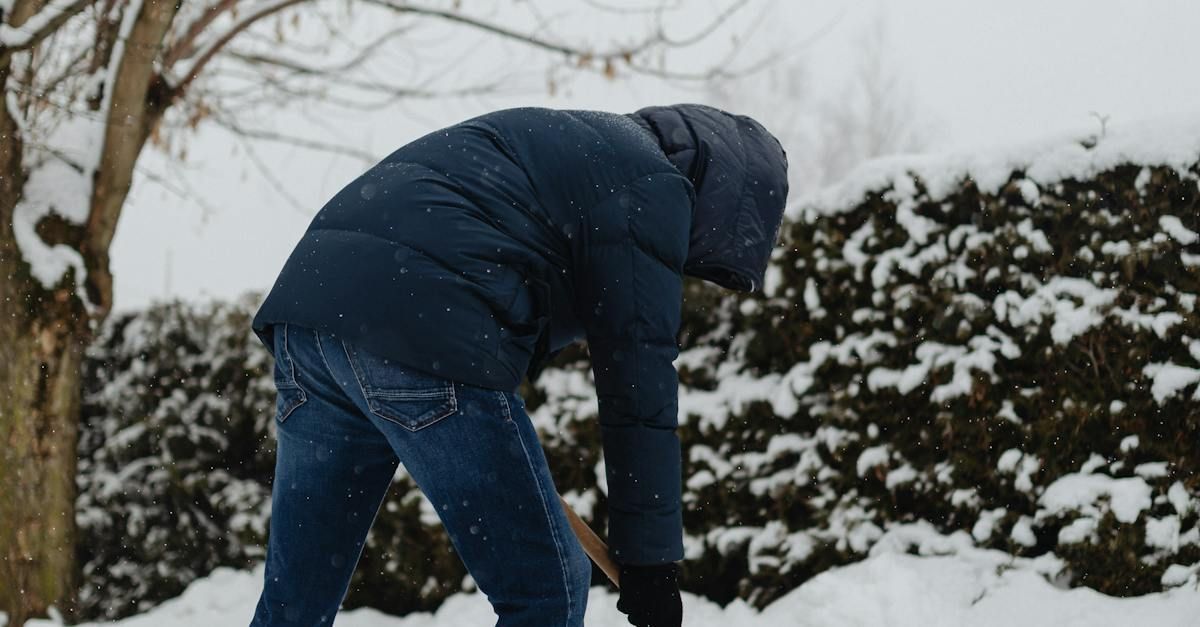 snow cleaning, snow removal, hauling, and Ice cleaning.