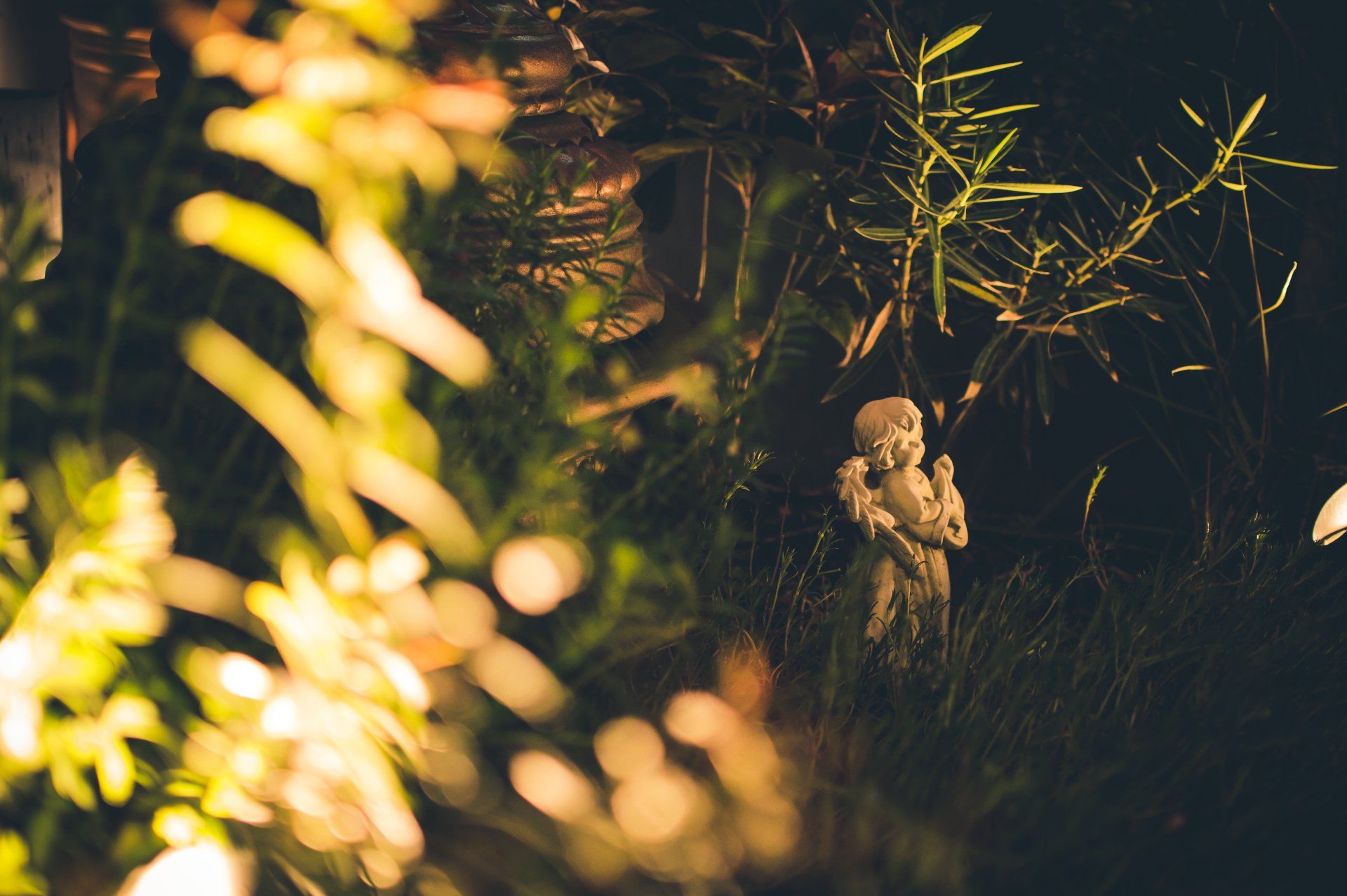 garden lighting in Round Rock