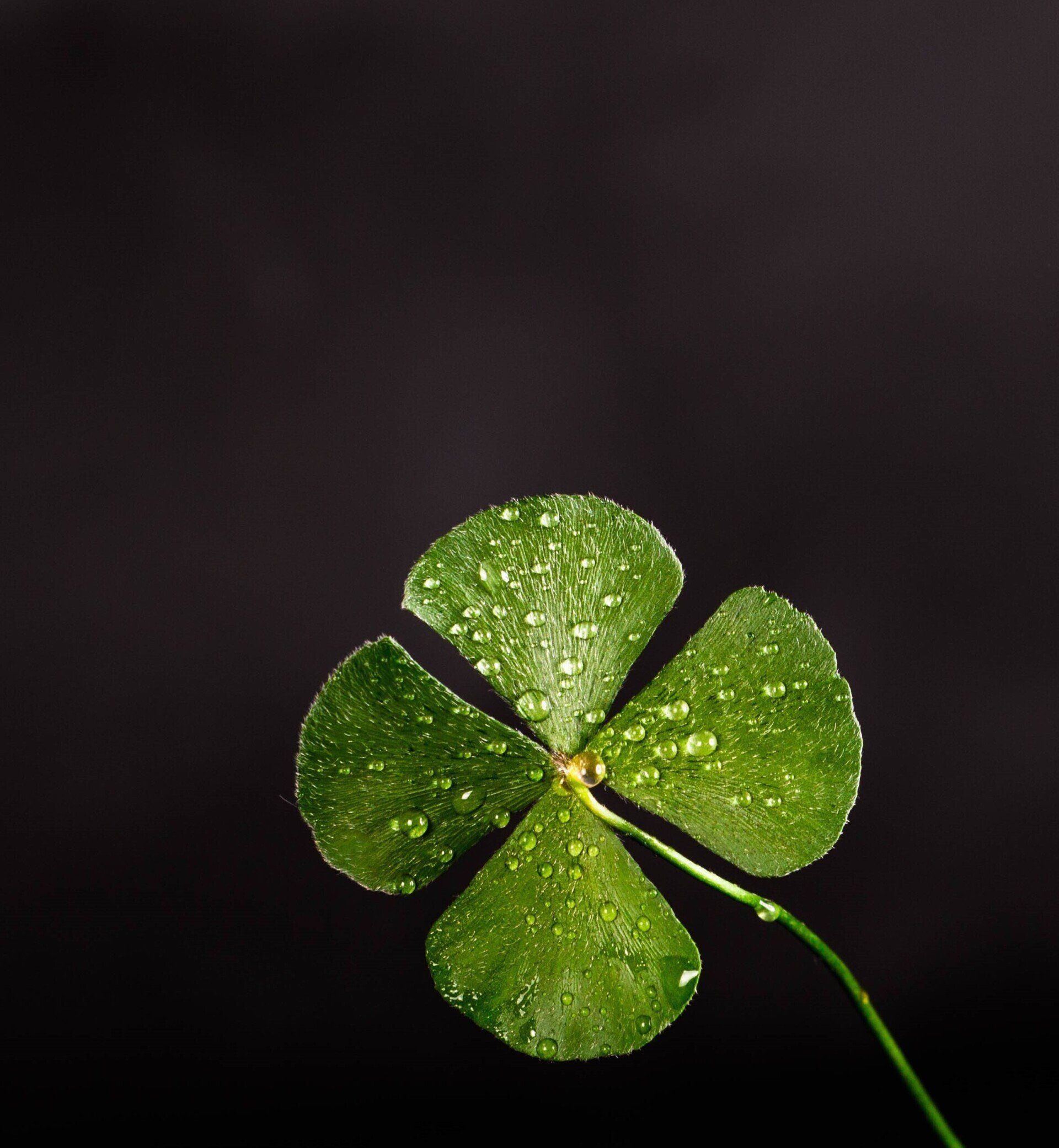 3 Ways to Create Your Own Luck in Sales