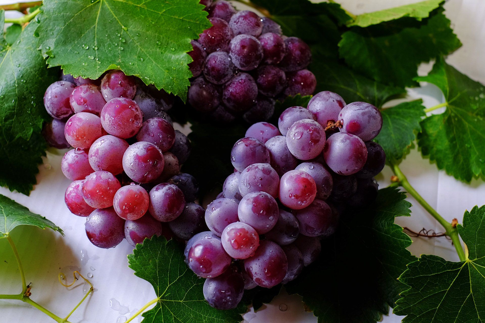 a bunch of purple grapes with green leaves