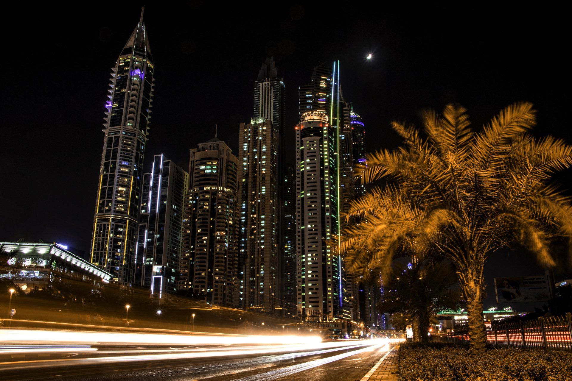 A city skyline at night with a palm tree in the foreground.