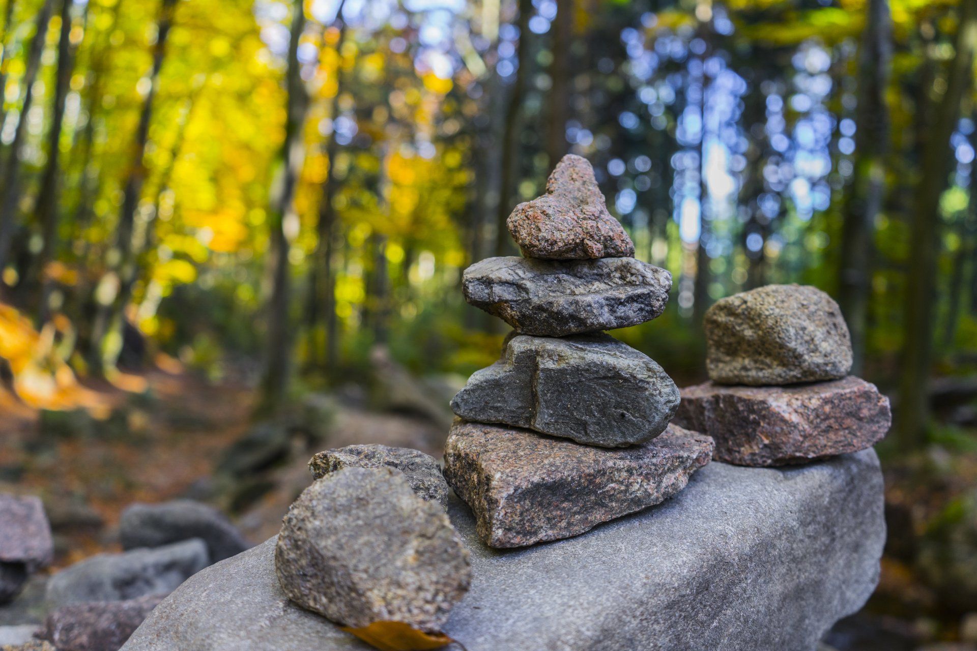 A pile of rocks stacked on top of each other in the woods.