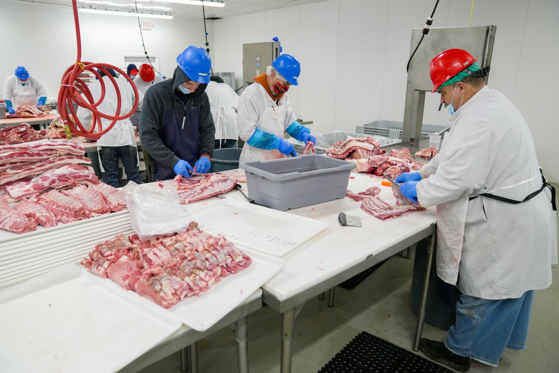 Beef Processing