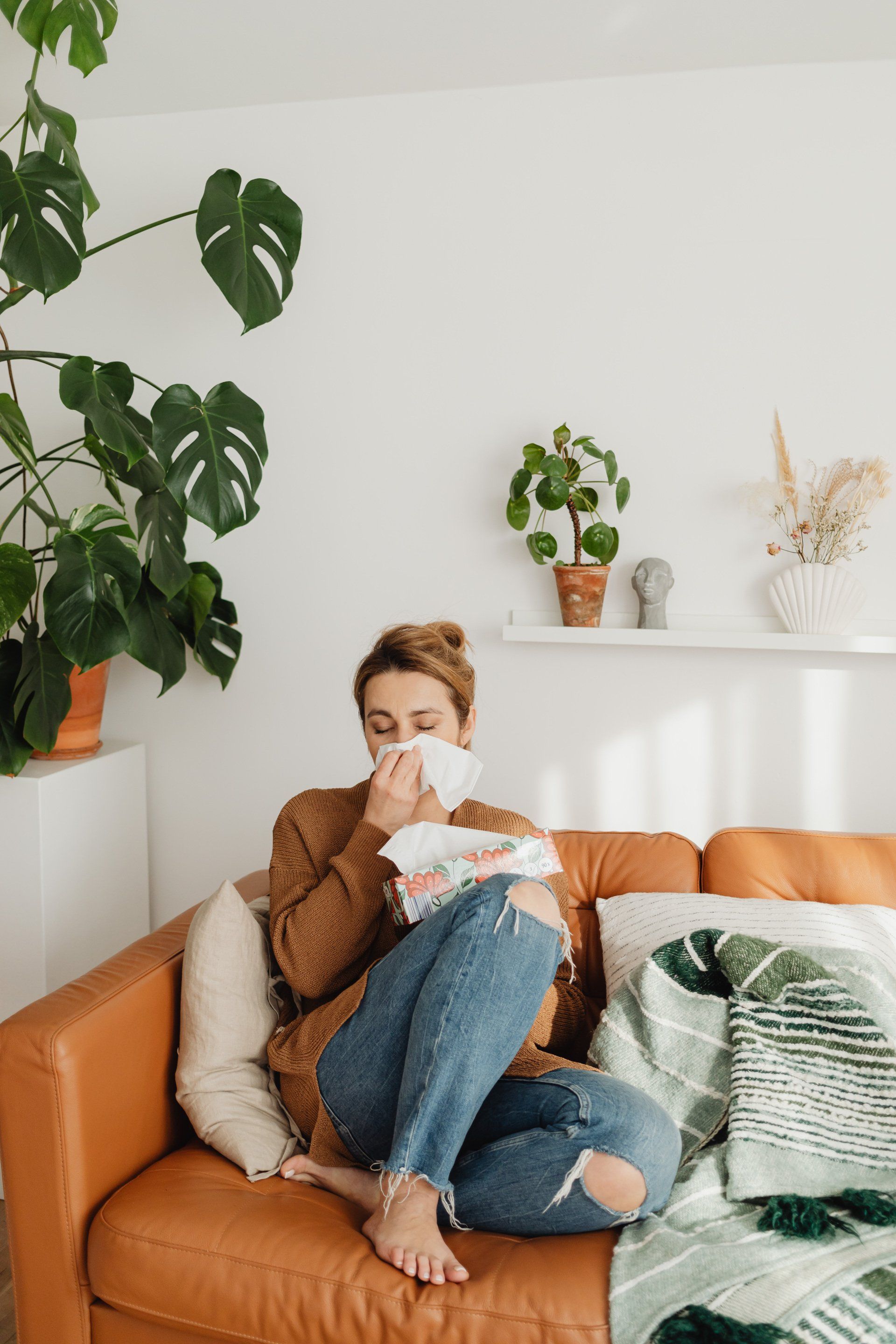Say goodbye to allergies with regular cleaning