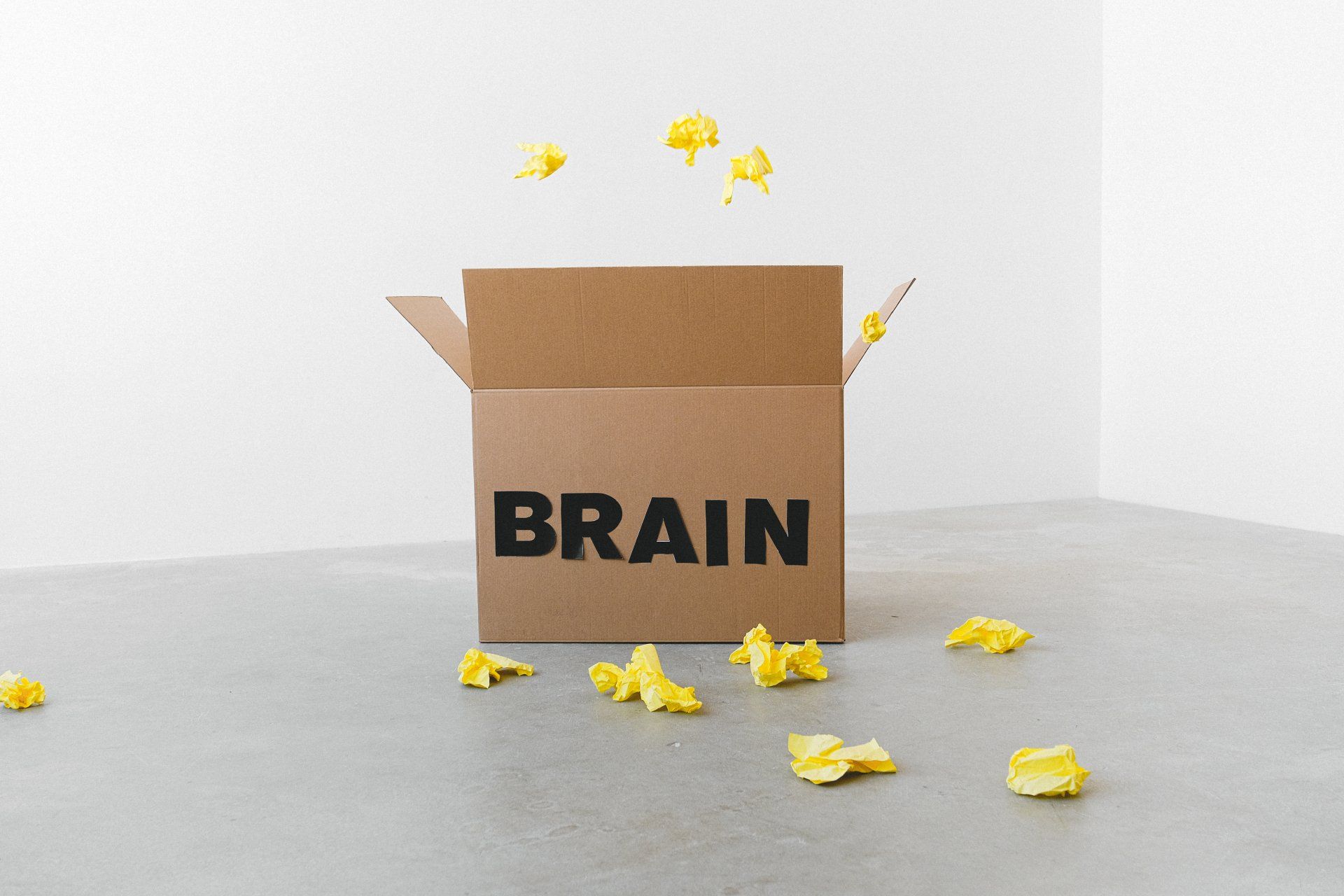 A cardboard box with the word brain written on it.