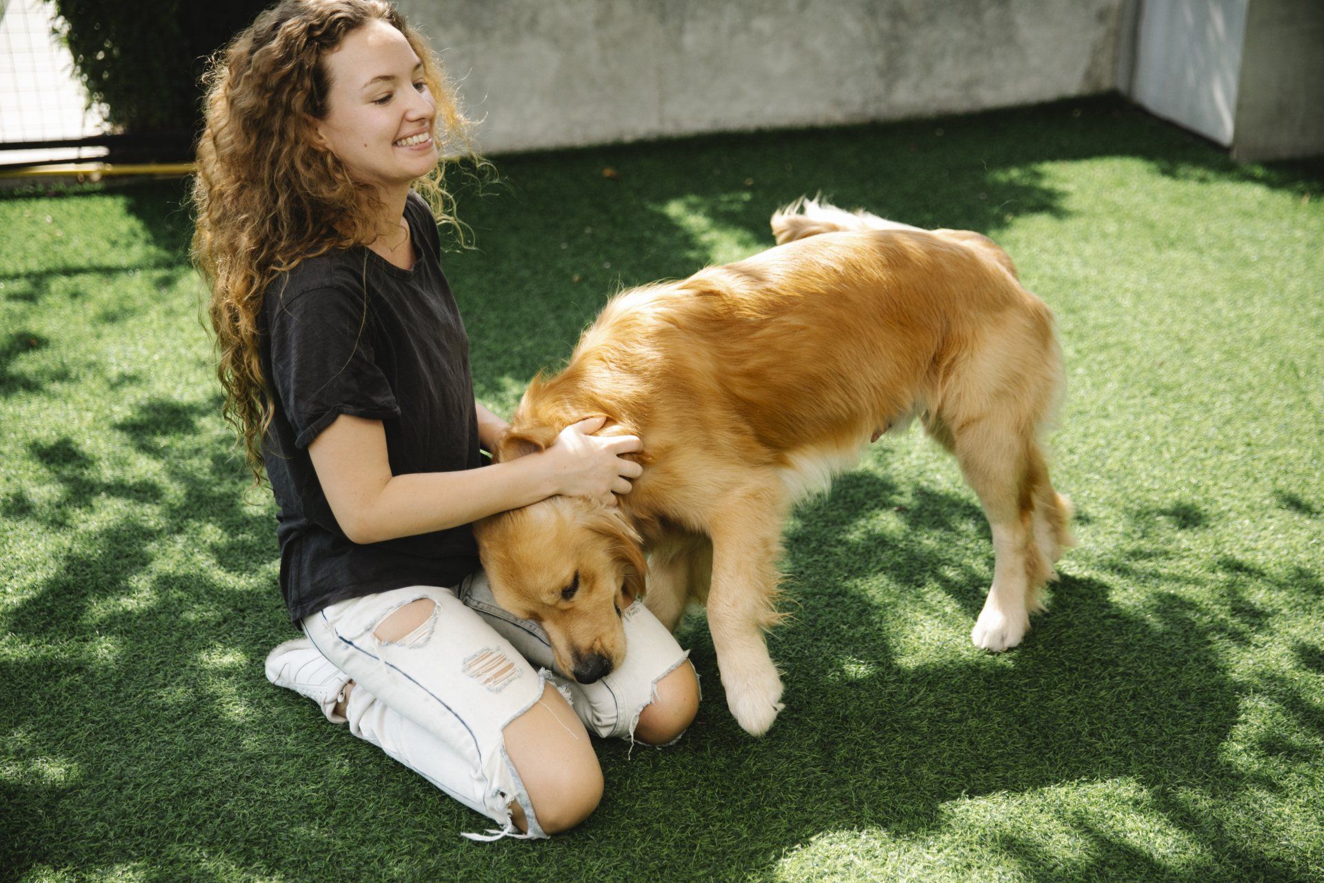 Flea & Tick Control