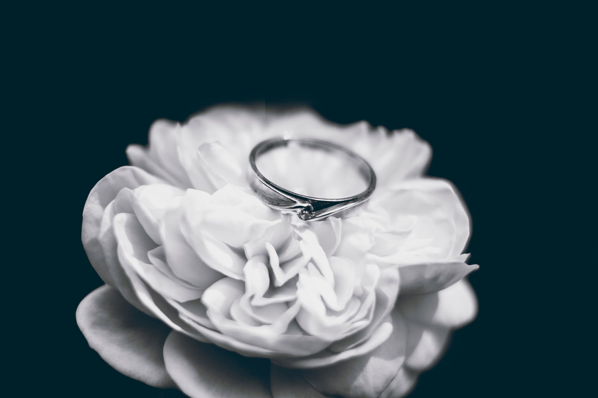 A wedding ring is sitting on top of a white flower.
