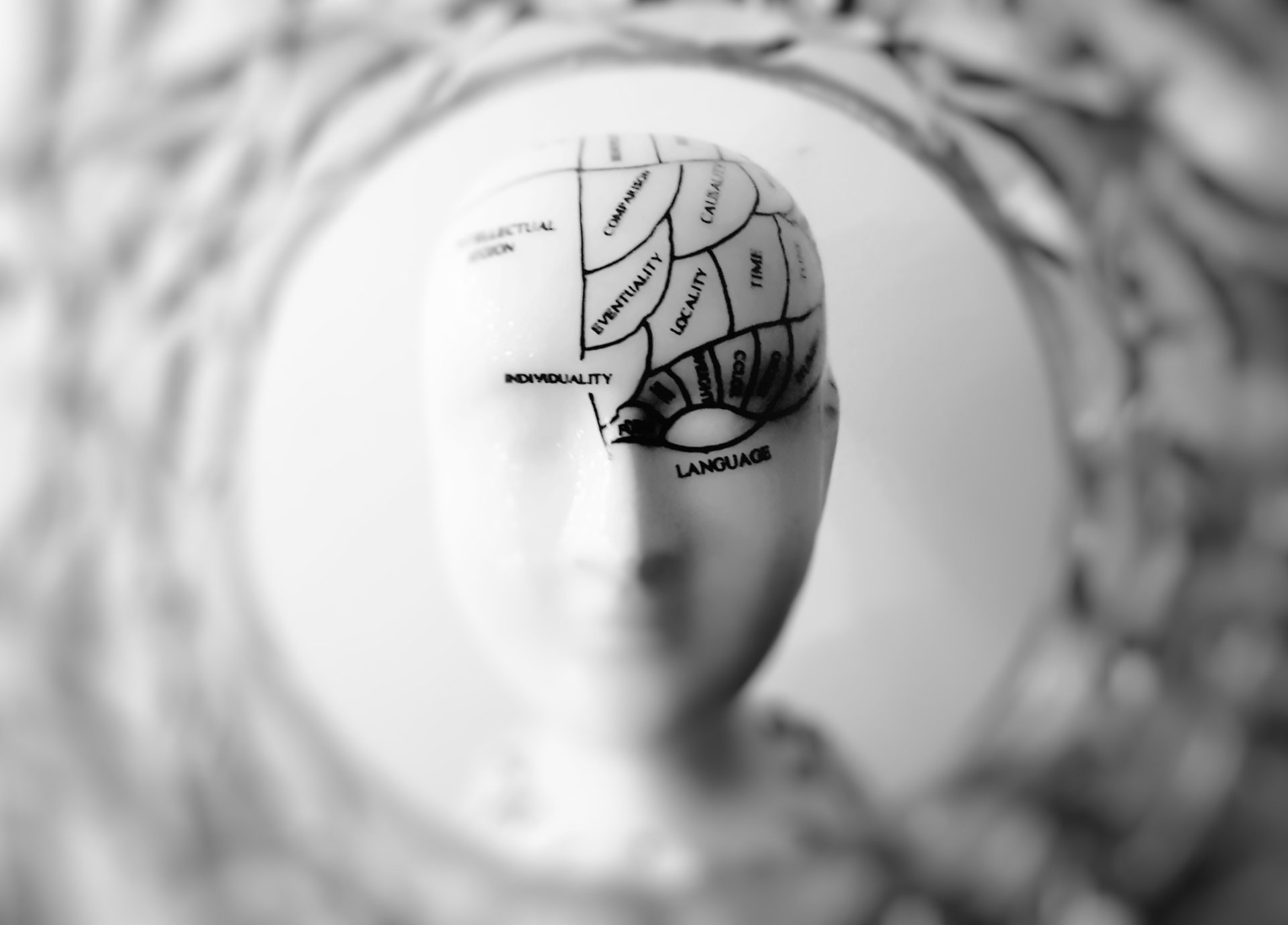 A black and white photo of a mannequin head with a brain diagram on it