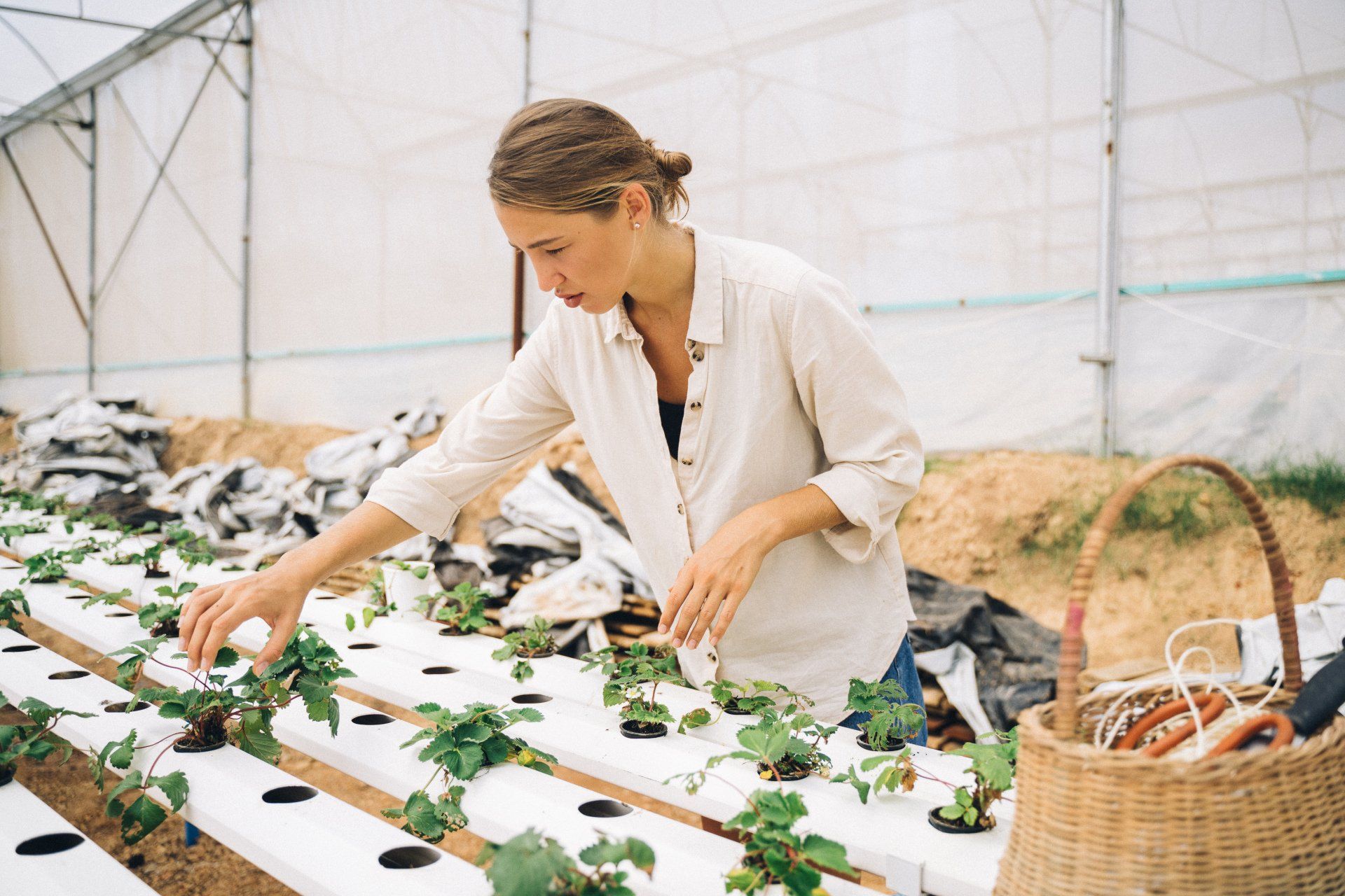 woman looking at hydroponic growing systems