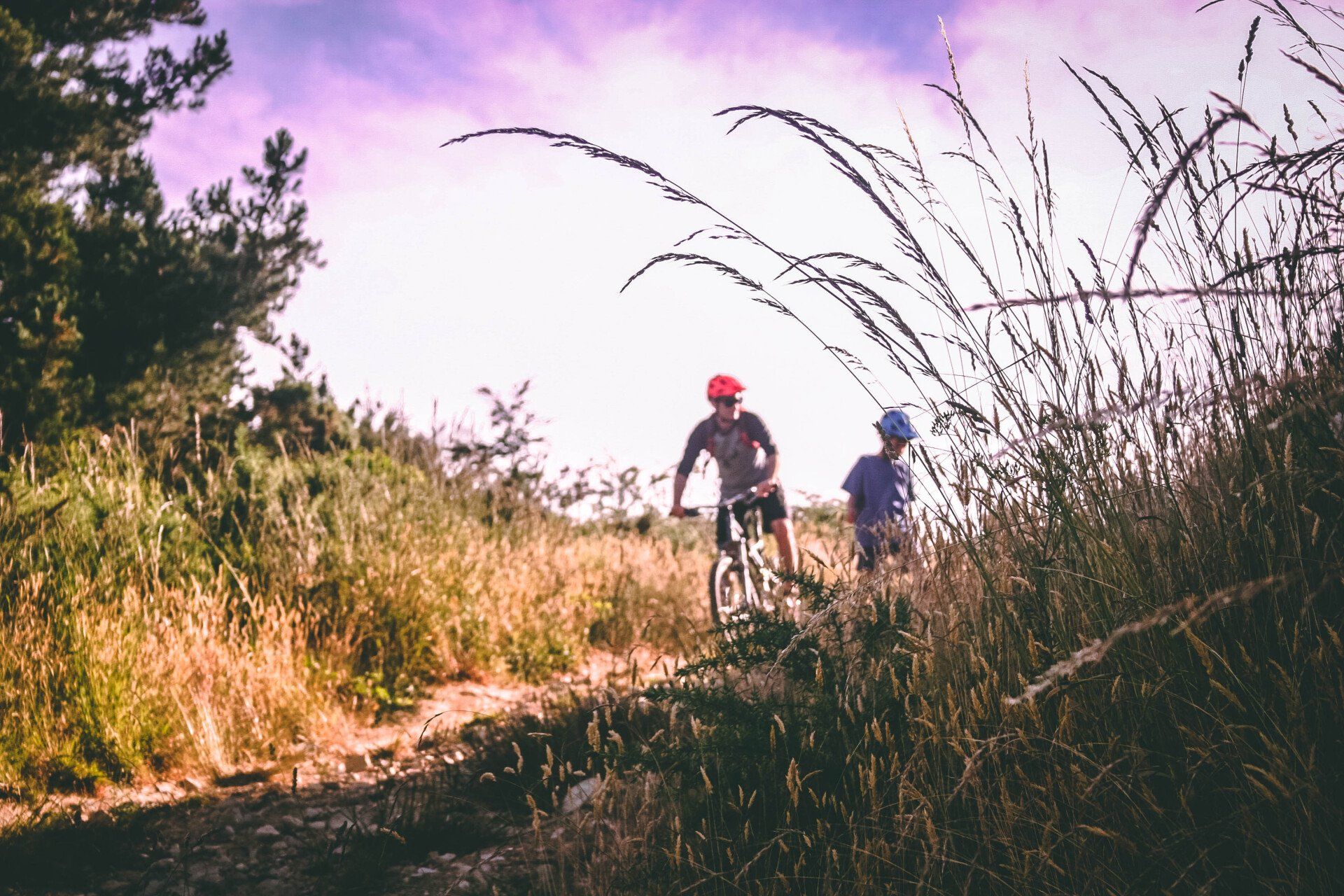 a man and a child are riding bikes on a trail .