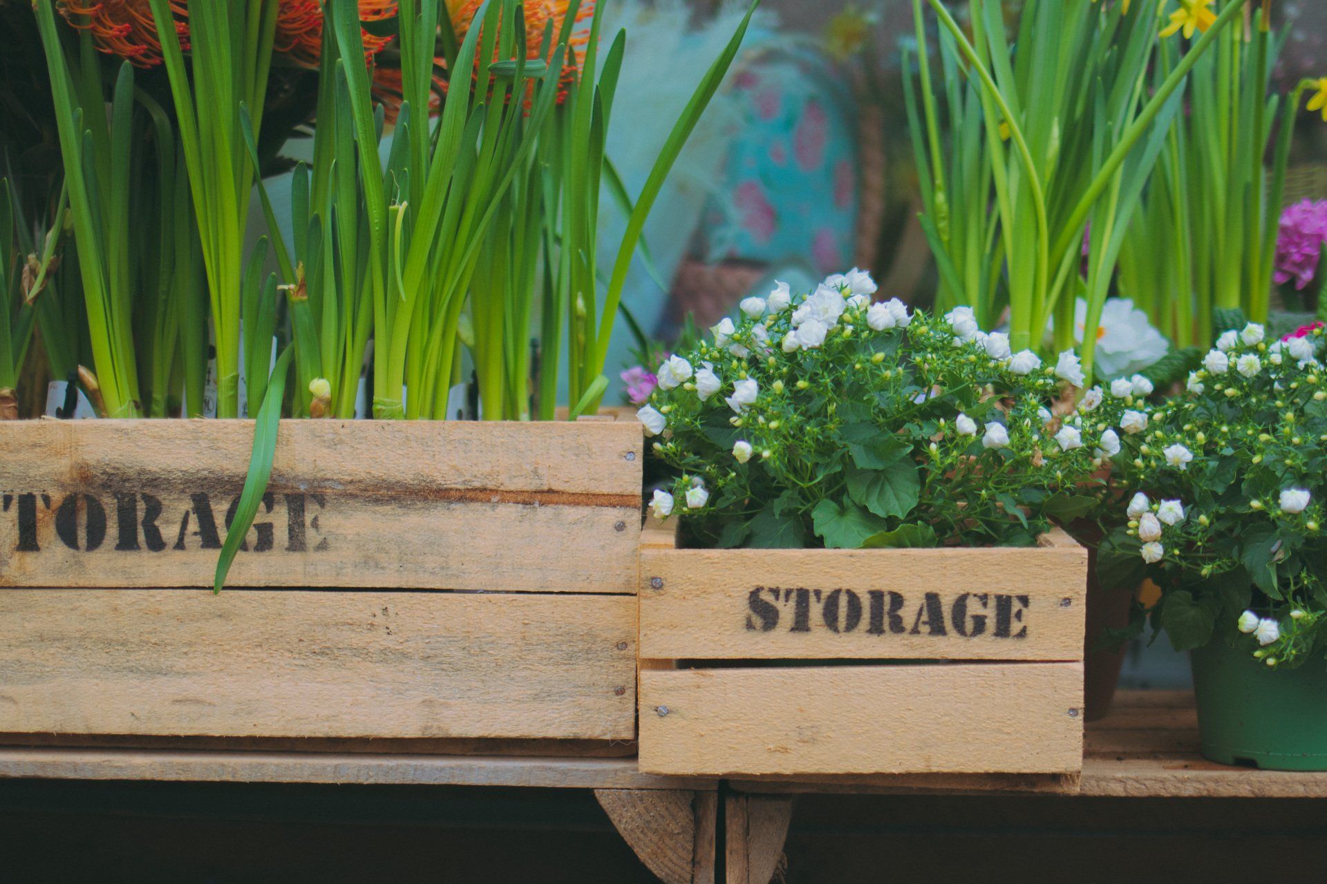 Tips for Outdoor Planters Size, Placement, and More