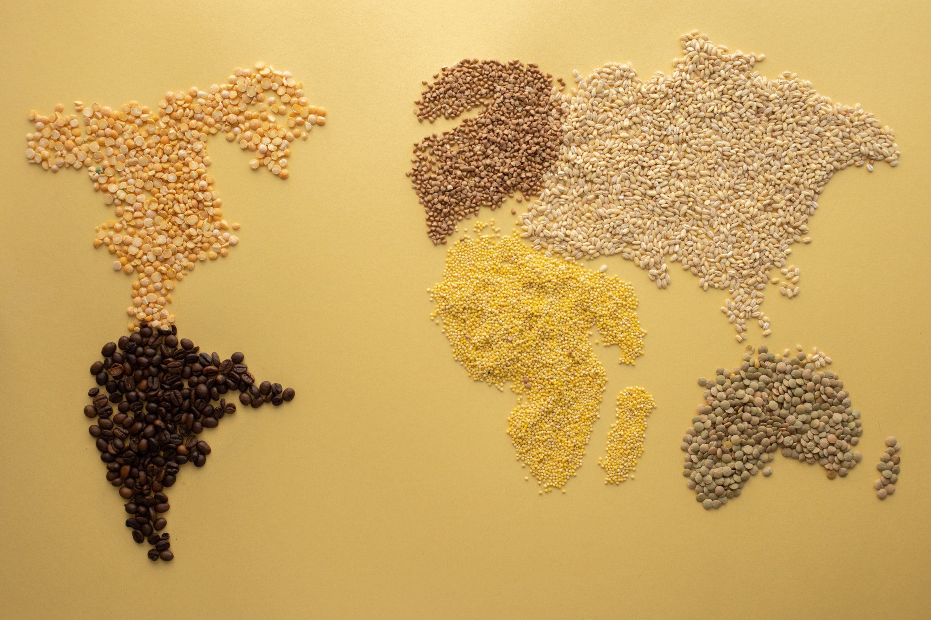 Grains in the shape of the world