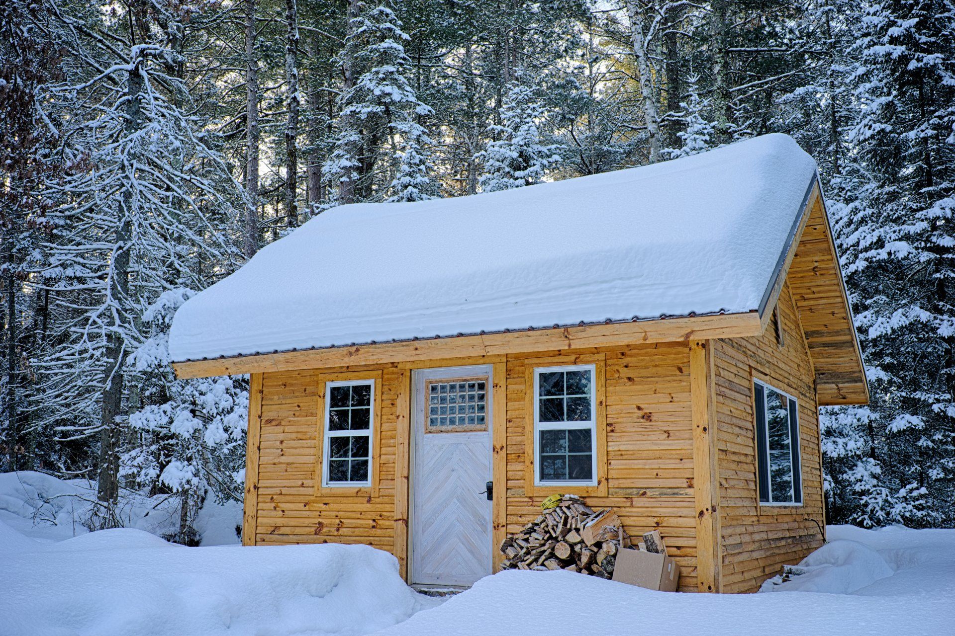 cabin in the snowy woods