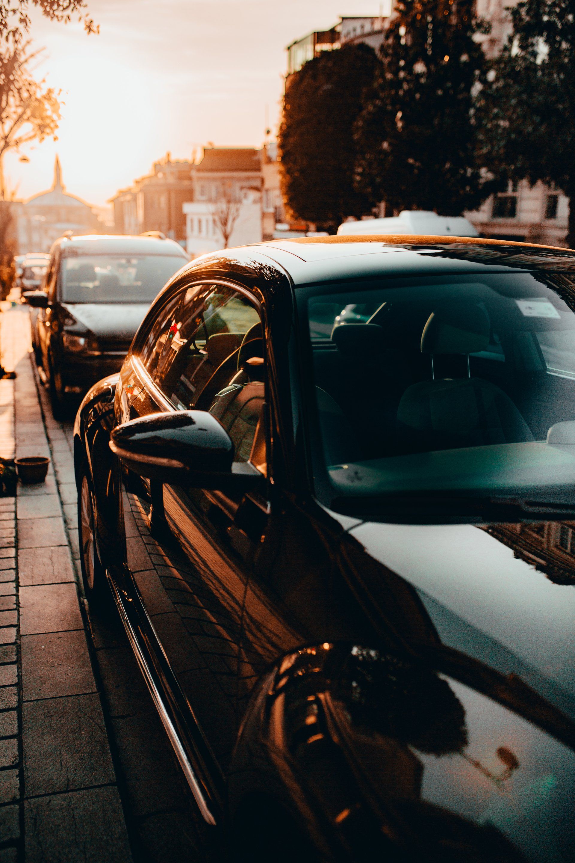 Know Where To Sell Your Lotus for All That It’s Worth