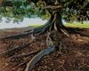 Tree of life